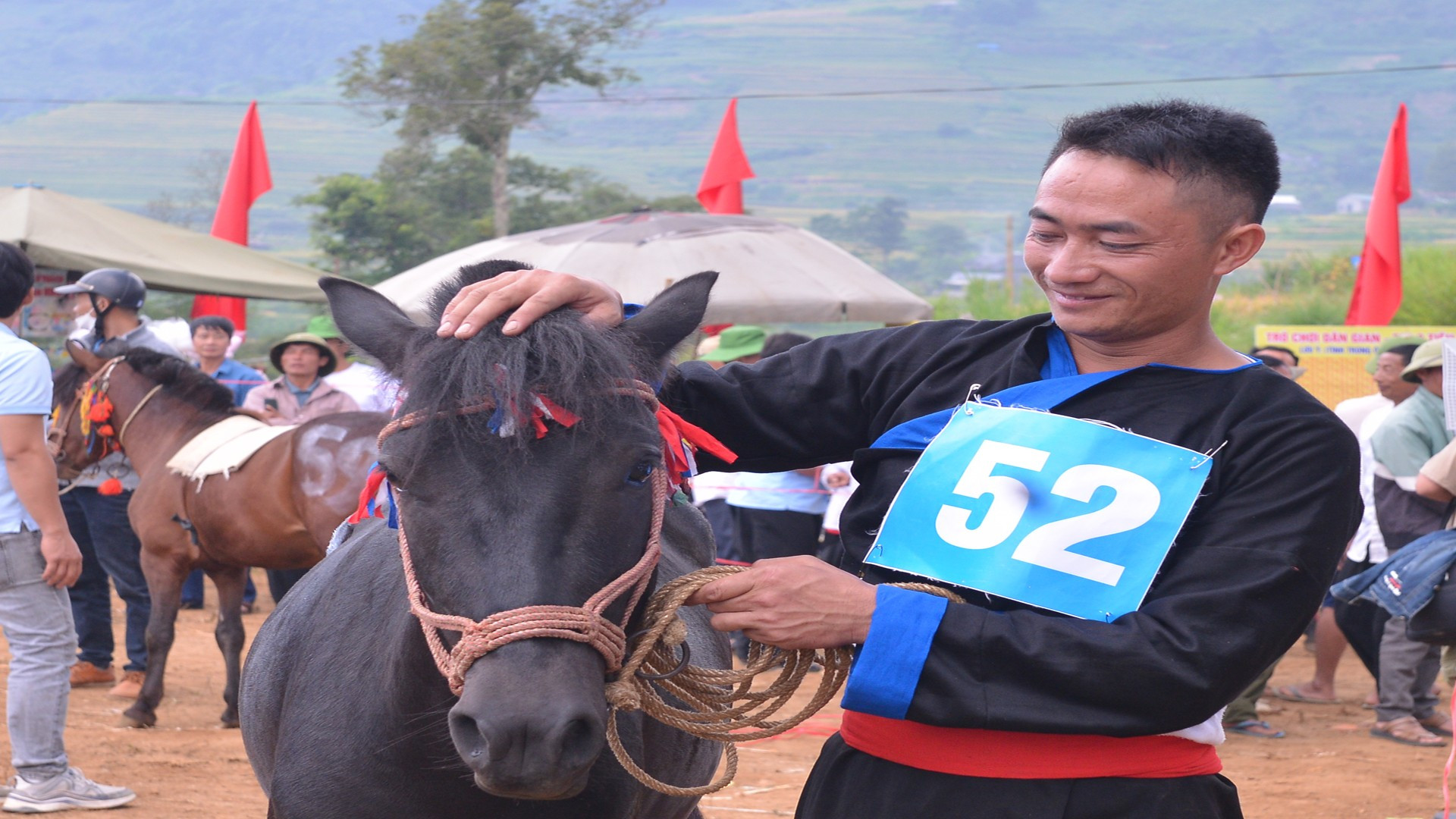 参加比赛的马匹也是平日载着货物和农产品的普通马匹。