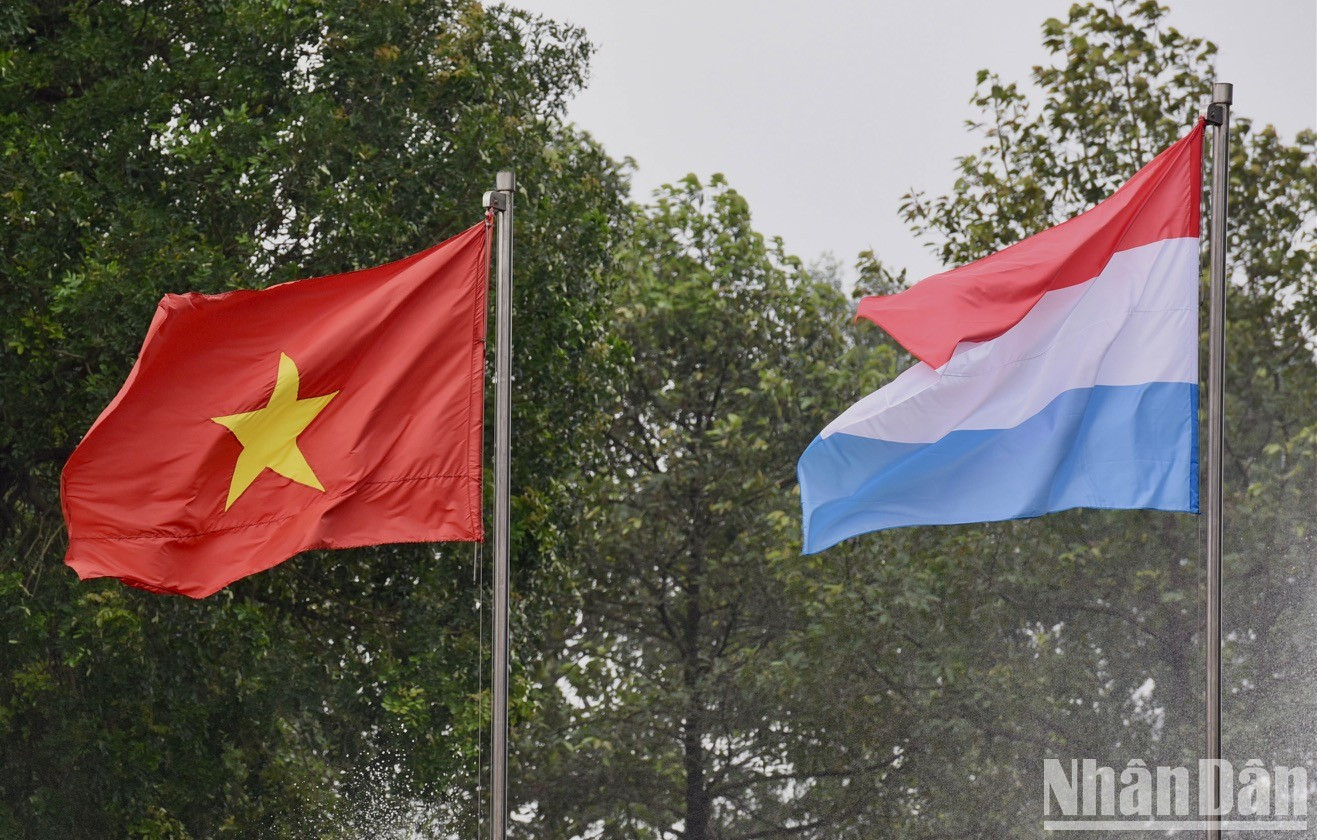 两国国旗在空中飘扬。 两国国旗在空中飘扬。