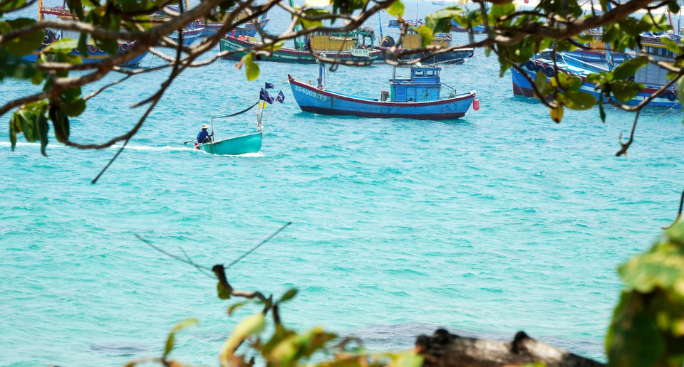 探索平定省龙鳞角：原始奇幻的自然魅力吸引游客纷至沓来 ảnh 3