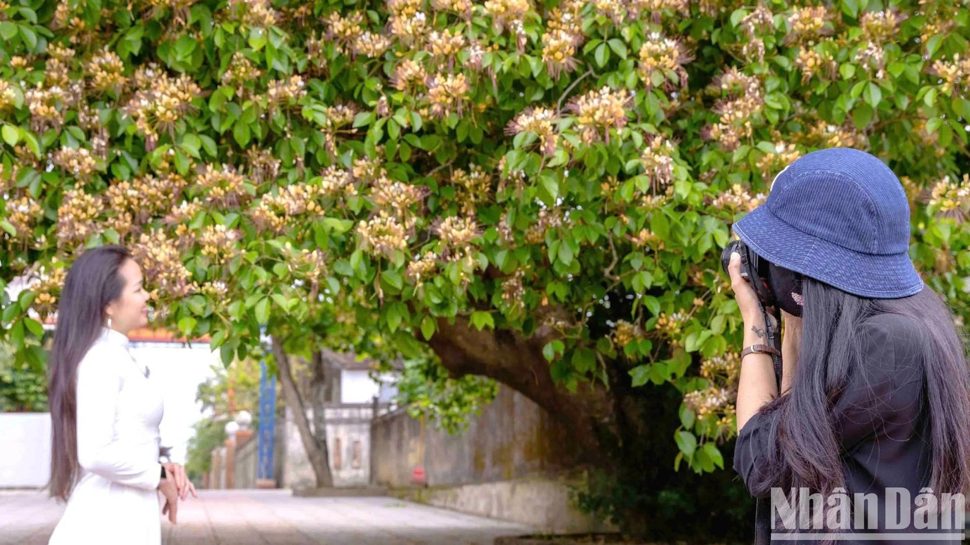 在鱼木的树枝下摆姿势拍照 在鱼木的树枝下摆姿势拍照