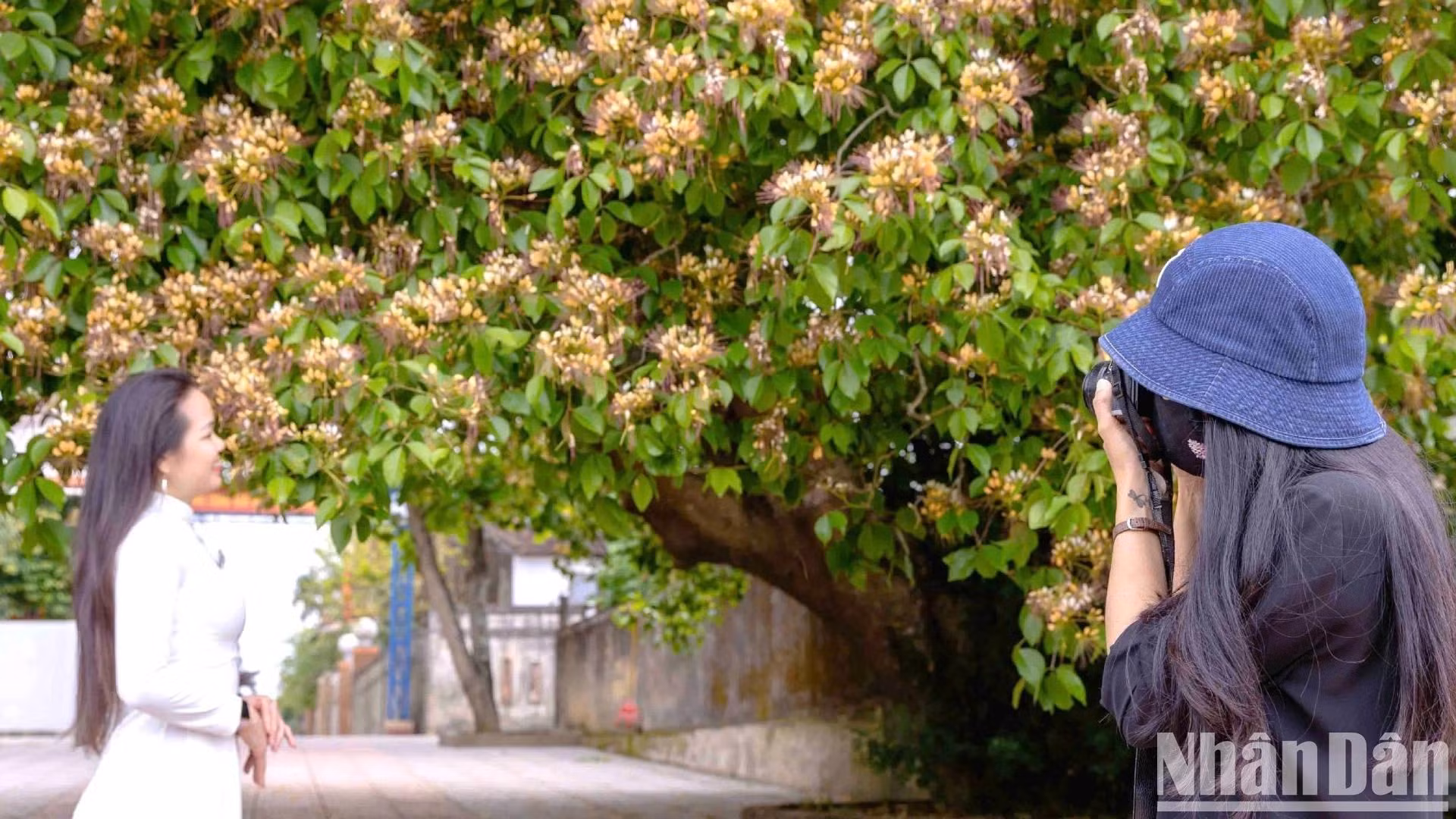 在鱼木的树枝下摆姿势拍照