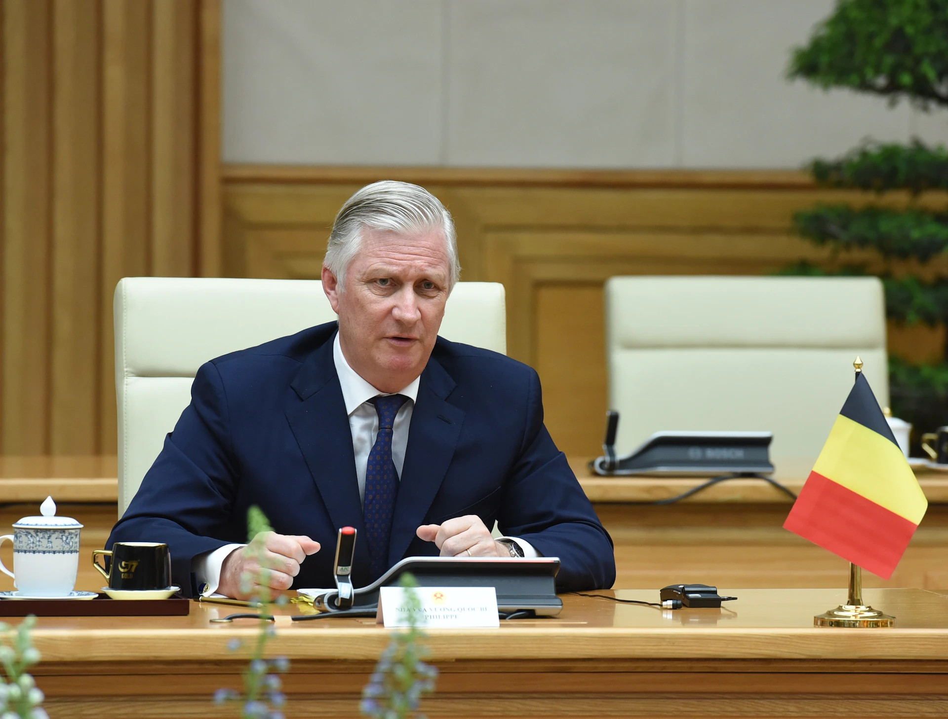 比利时国王菲利普在会见时发表讲话。