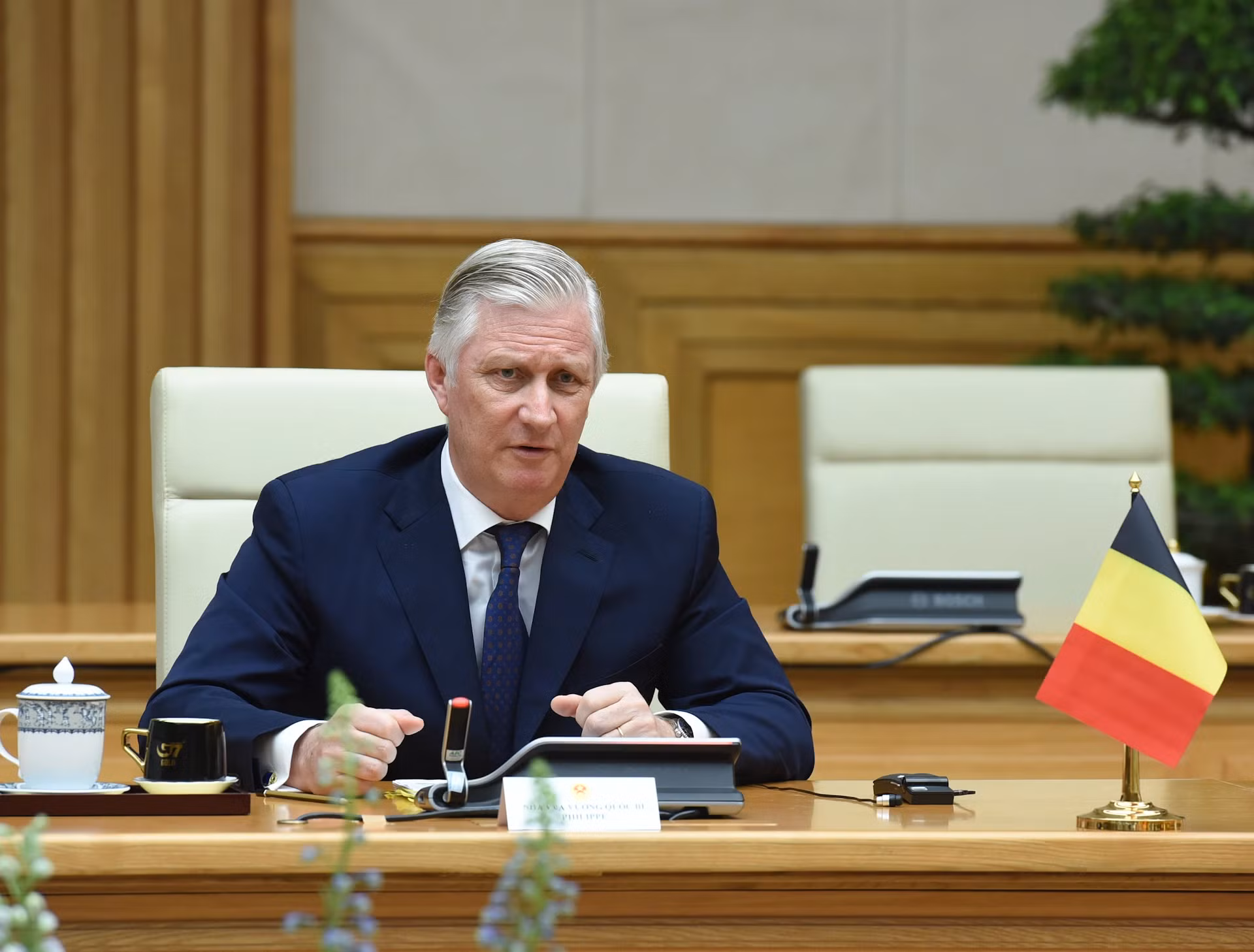 比利时国王菲利普在会见时发表讲话。