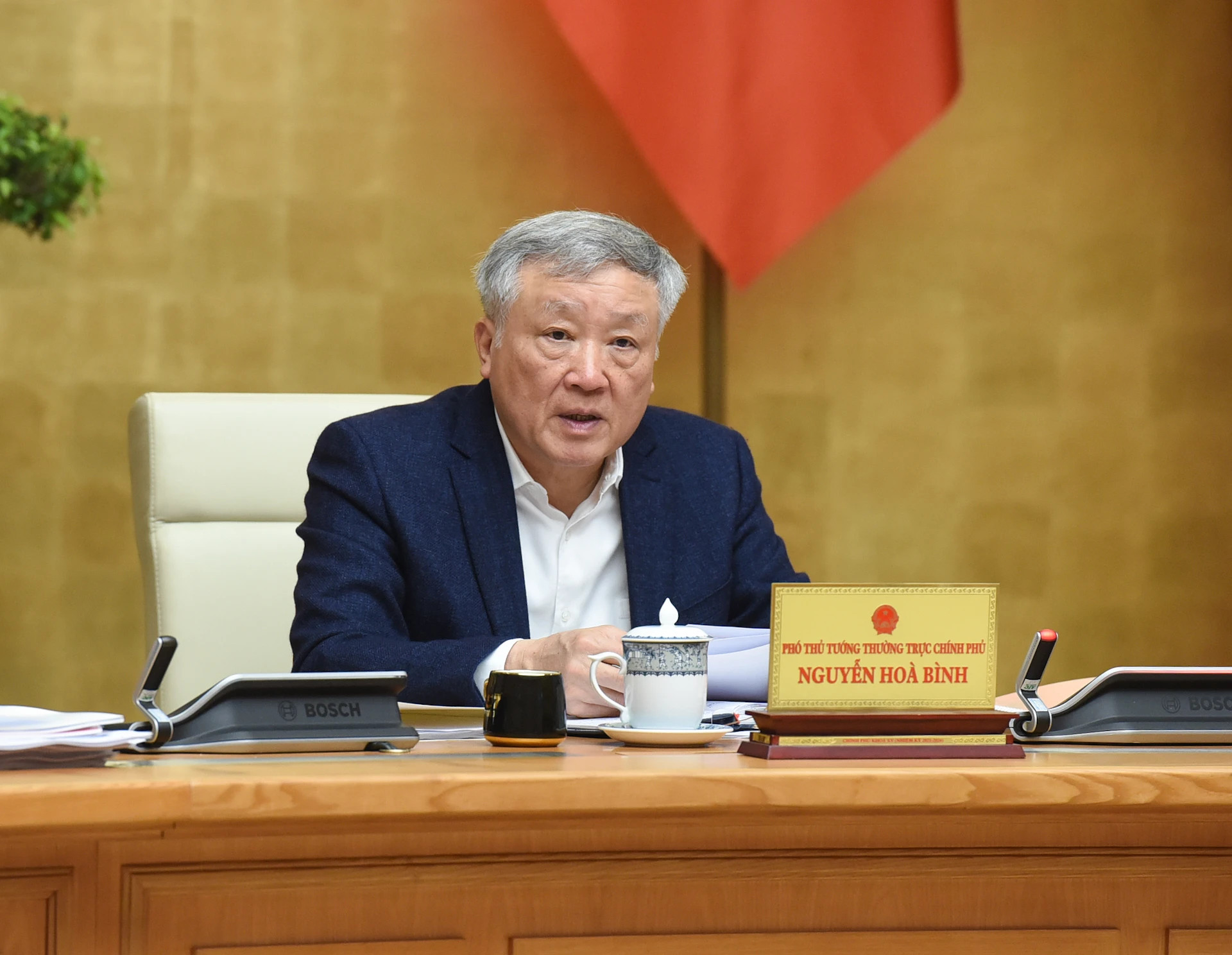 政府常务副总理阮和平在会上发表讲话。