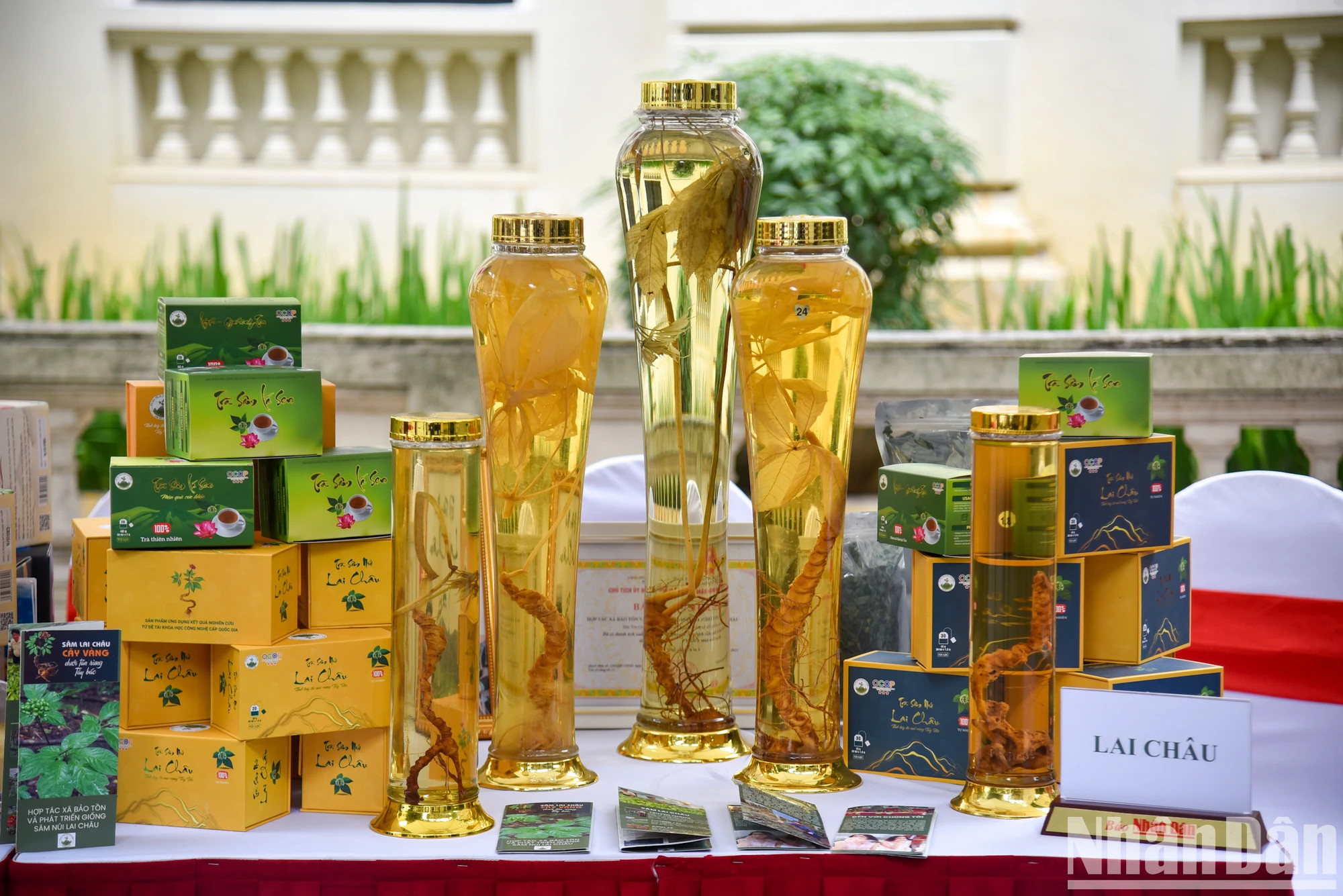 莱州省人参荷叶茶。