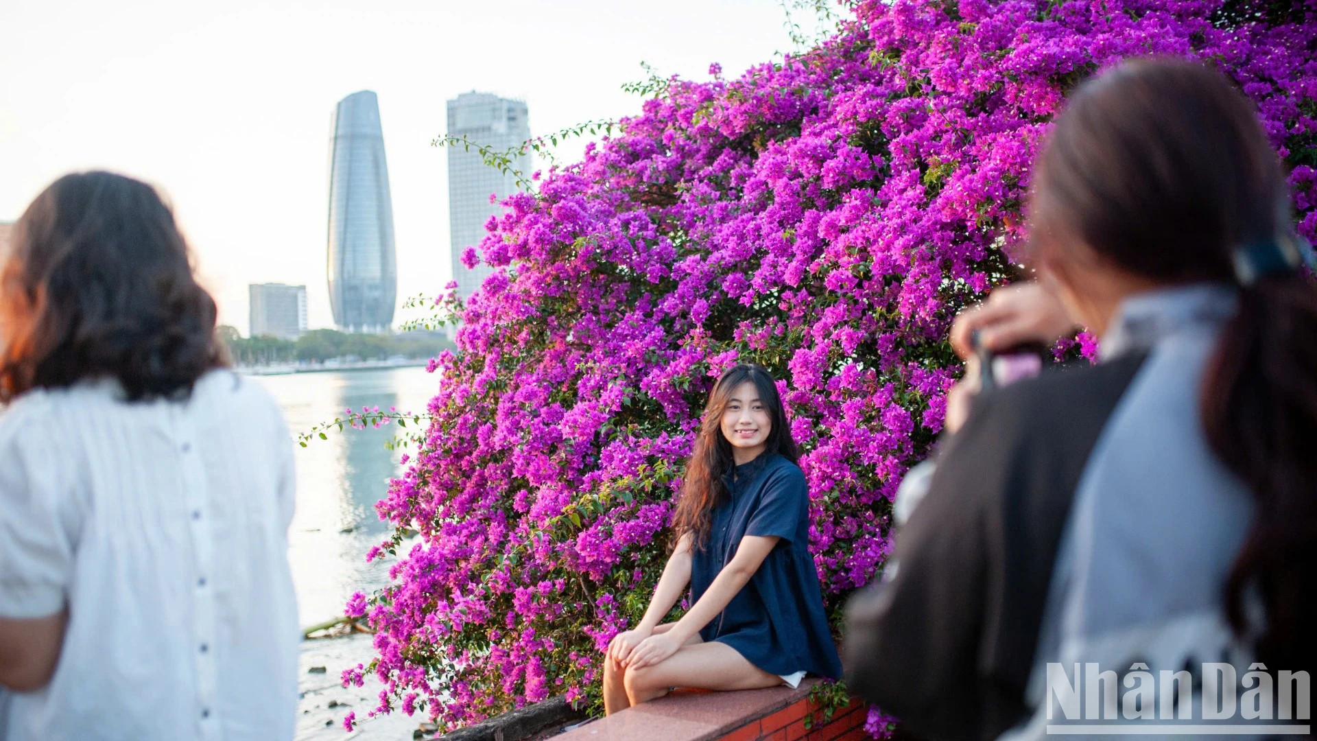 韩江东岸的叶子花树让众多年轻人为之着迷。 韩江东岸的叶子花树让众多年轻人为之着迷。