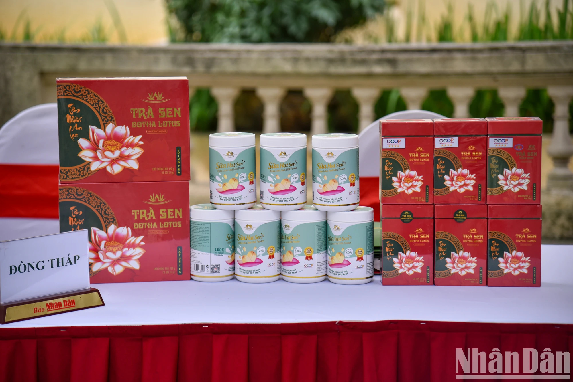 同塔省的荷花茶。