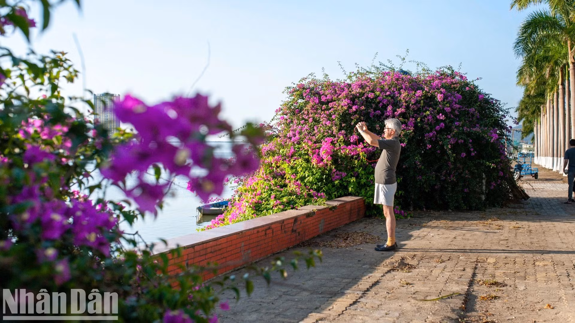 游客体验韩江东岸充满诗意的空间。