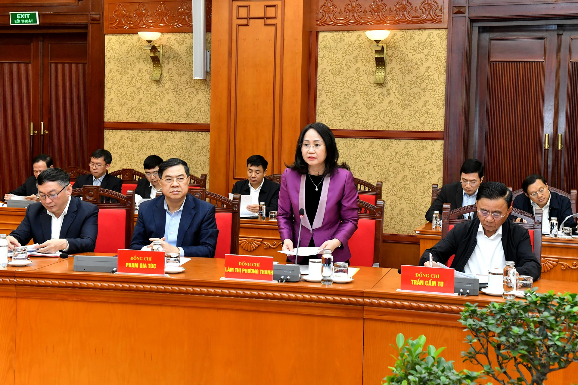 越共中央委员、中央办公厅常务副主任林氏芳青在会上发表讲话。