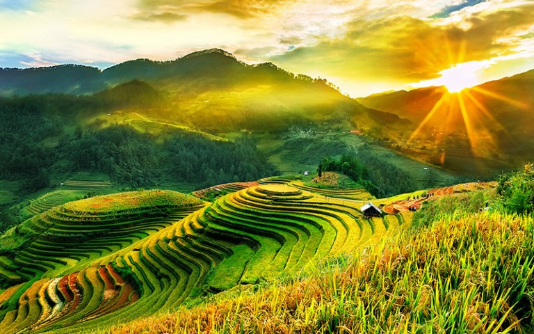 越南安沛省木江界诗情画意的田园风景吸引游客前来观赏。（图片来源：安沛省门户网站）