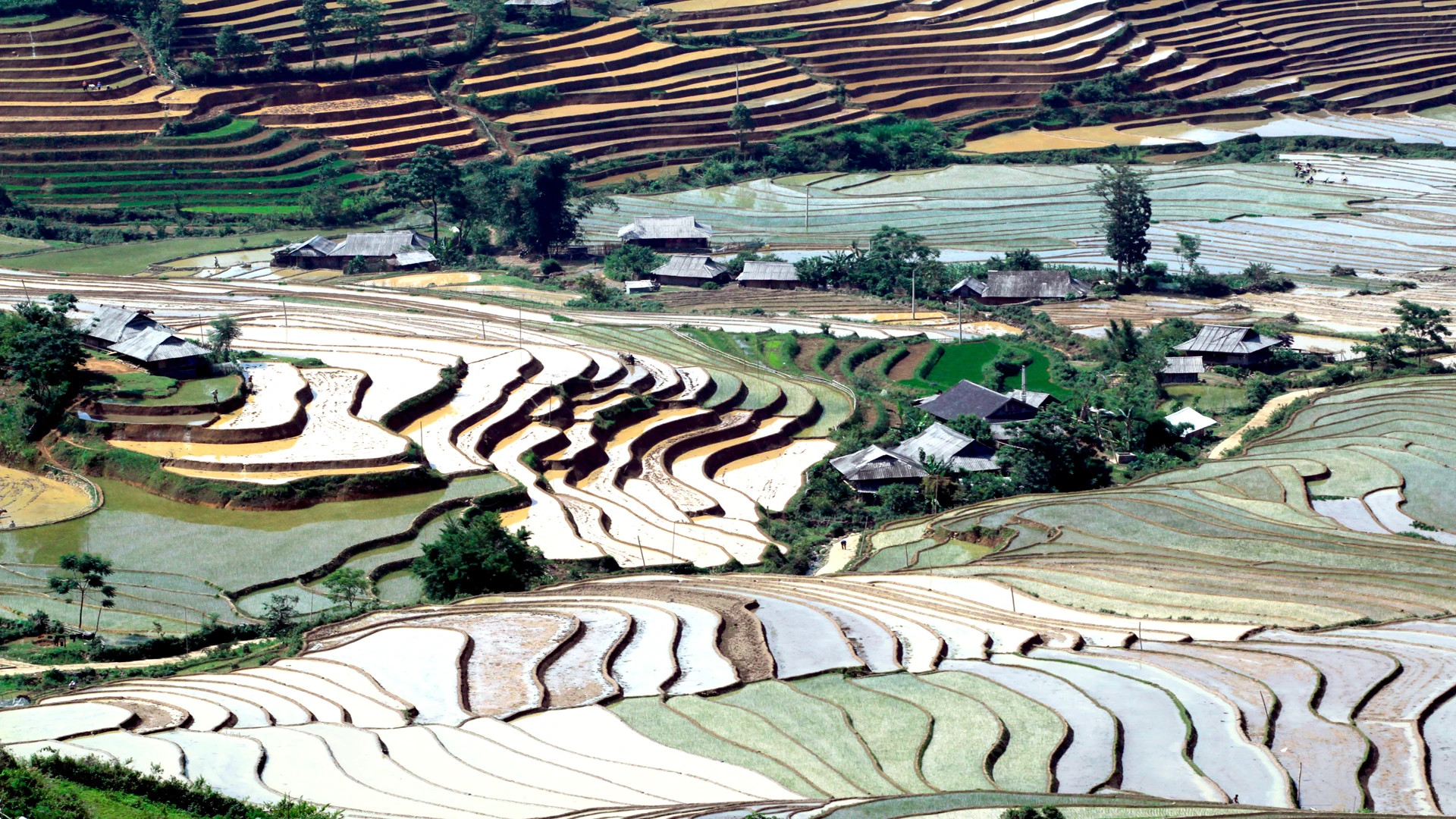 莱州省同胞的传统房屋坐落在梯田之中，这里保留了许多西北山区独特的农业文化特色。