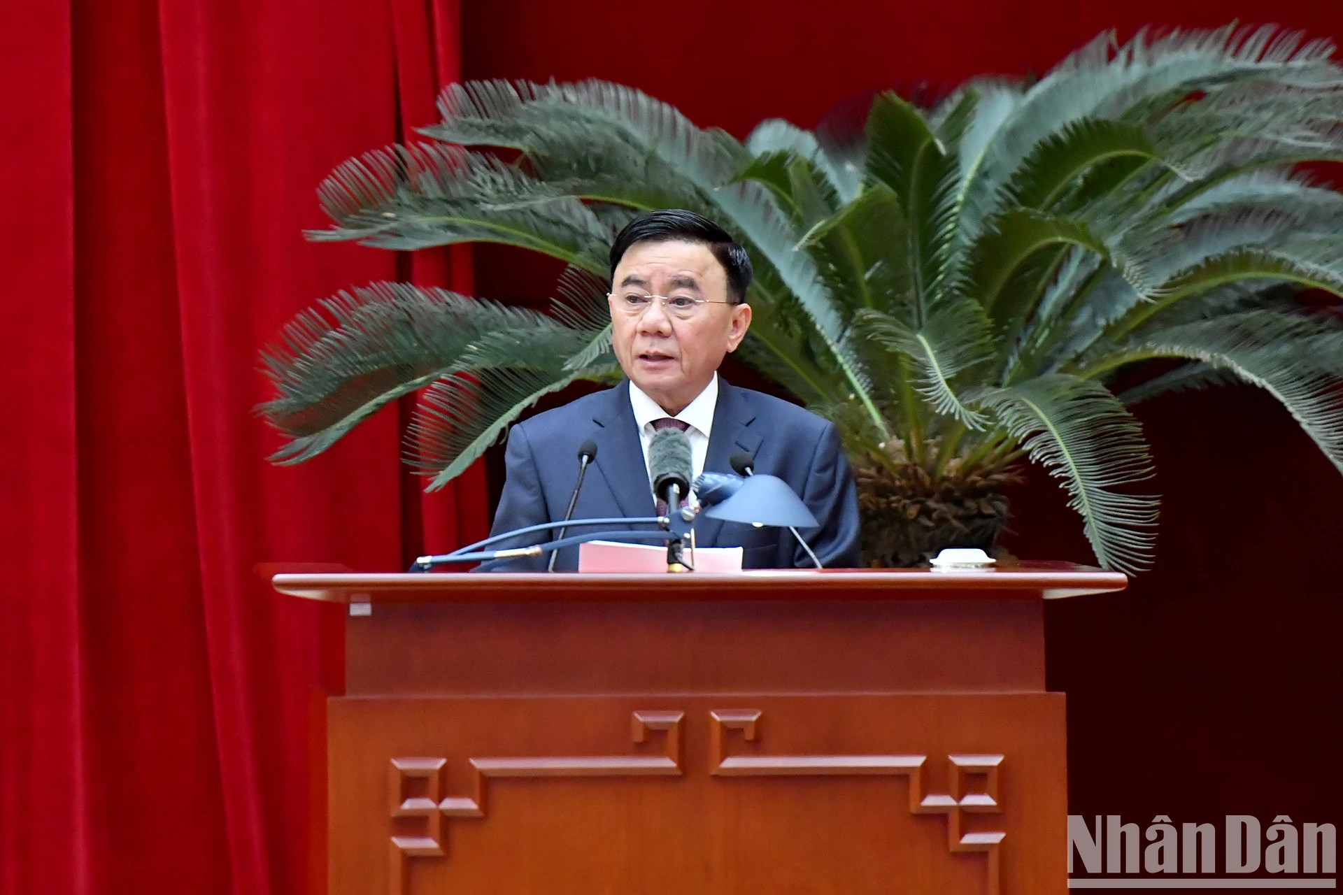 越共中央政治局委员、中央书记处常务书记、中央检查委员会主任陈锦绣在会上发表讲话。