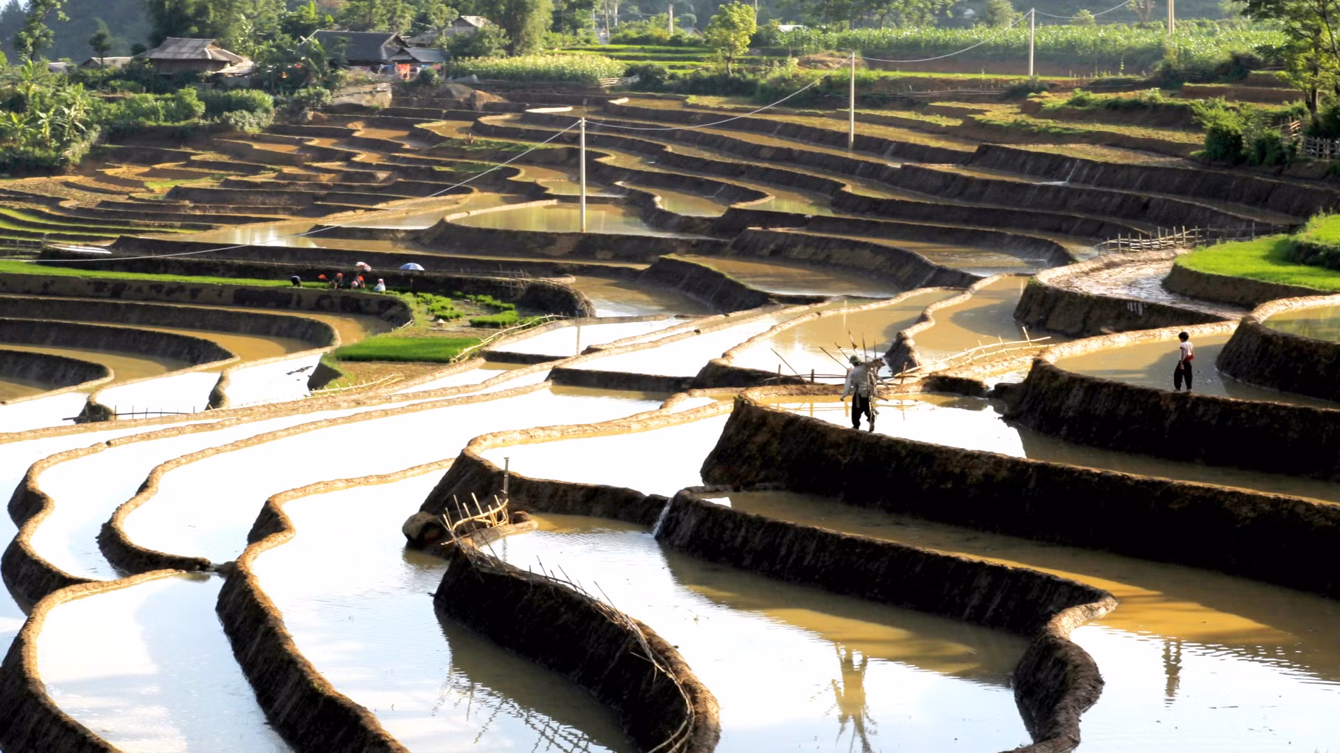 梯田是山区同胞熟悉的一种在坡地上耕作的方式。