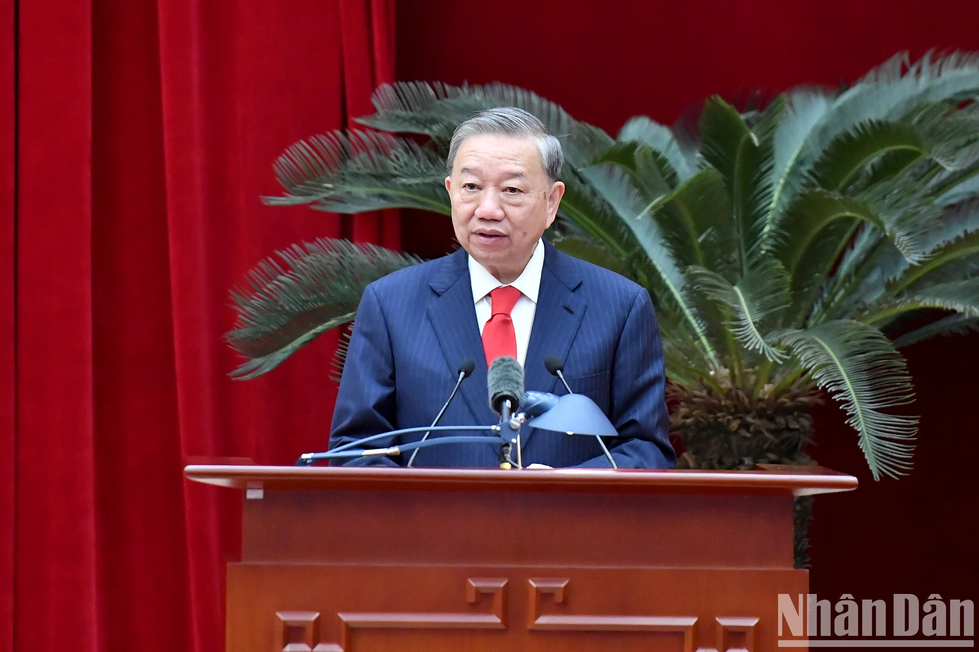 越共中央总书记苏林在会上发表讲话。