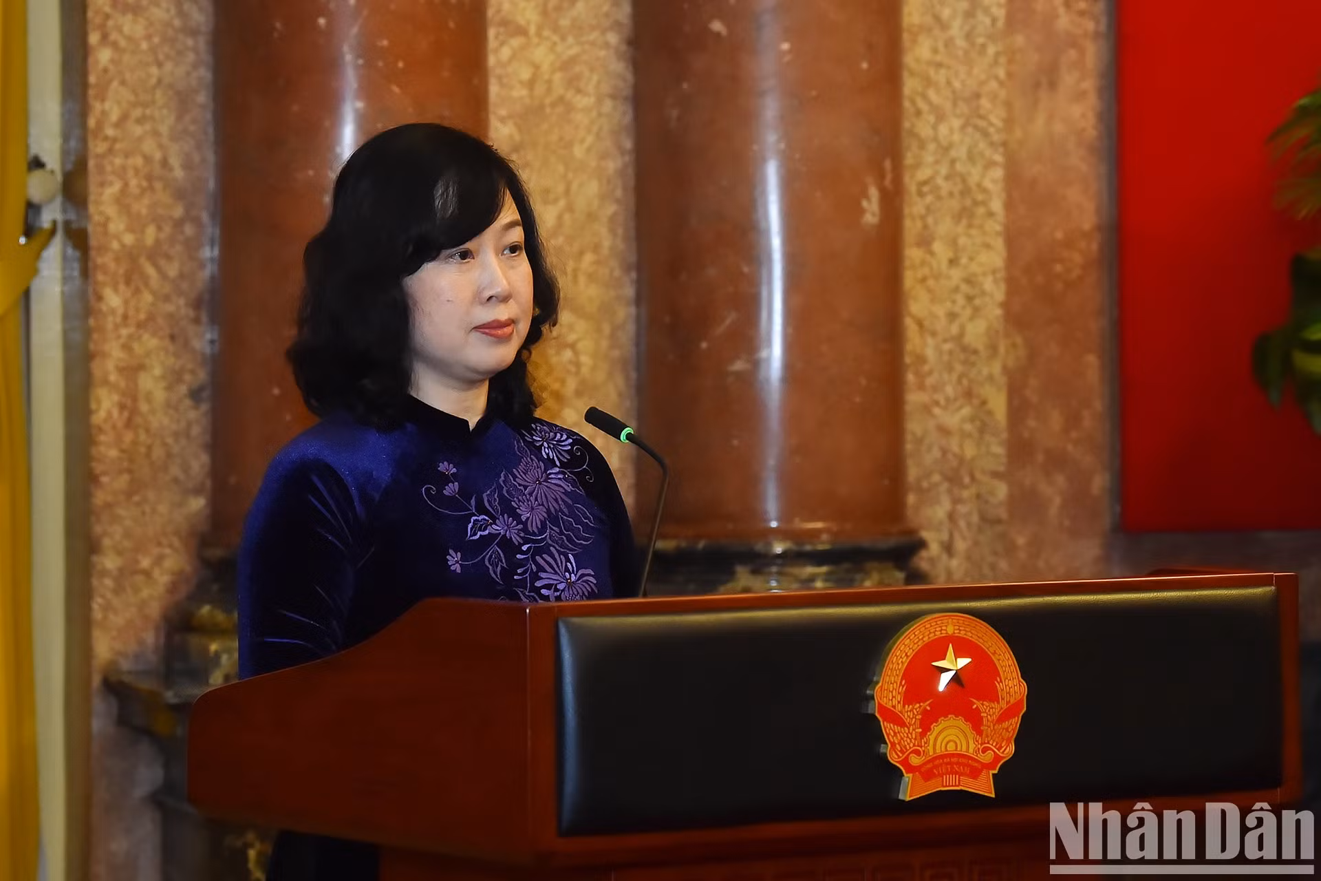 卫生部长陶红兰在见面会上发表讲话。 卫生部长陶红兰在见面会上发表讲话。