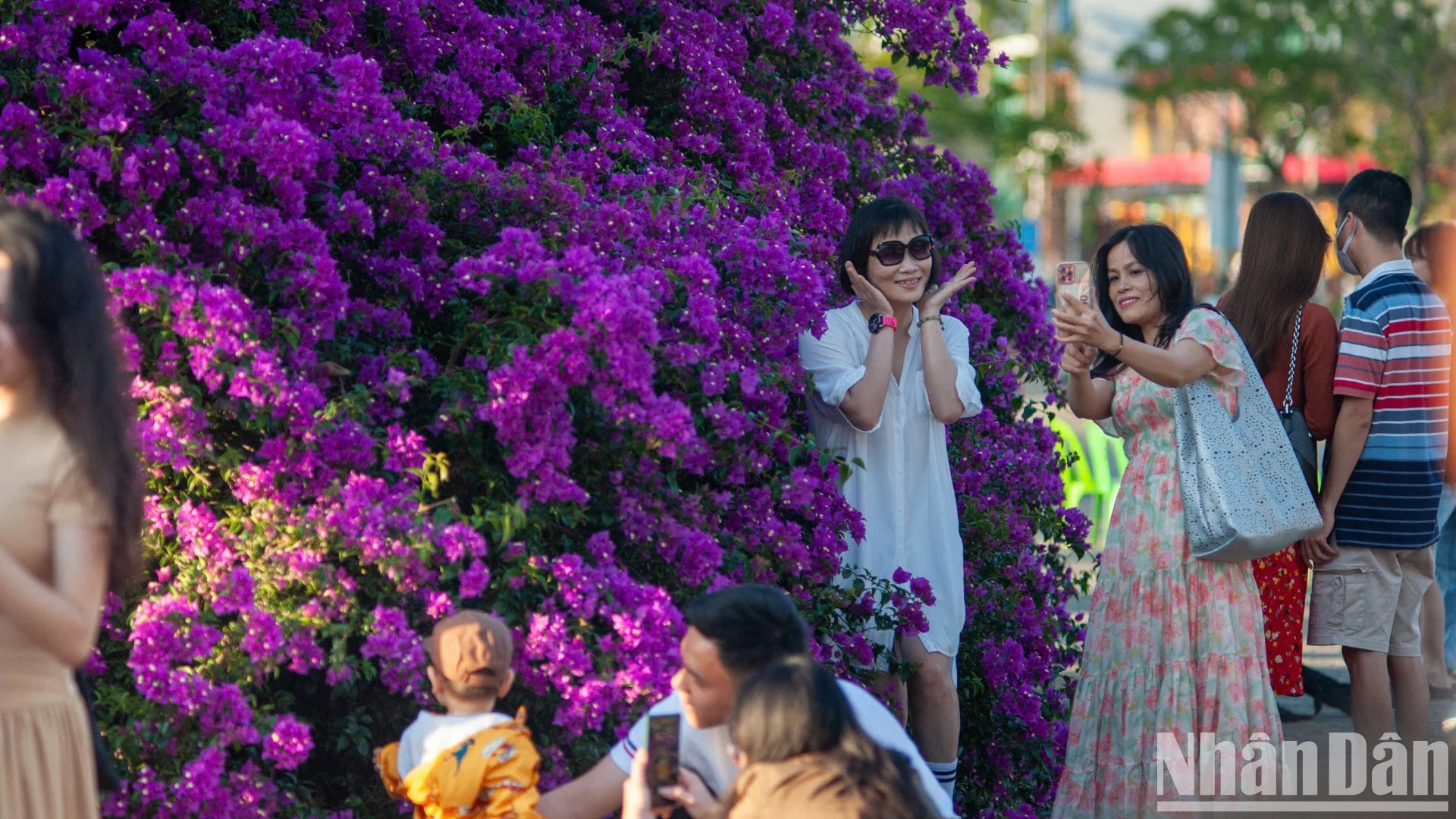 韩江东岸的空间变得生动和灿烂。 韩江东岸的空间变得生动和灿烂。
