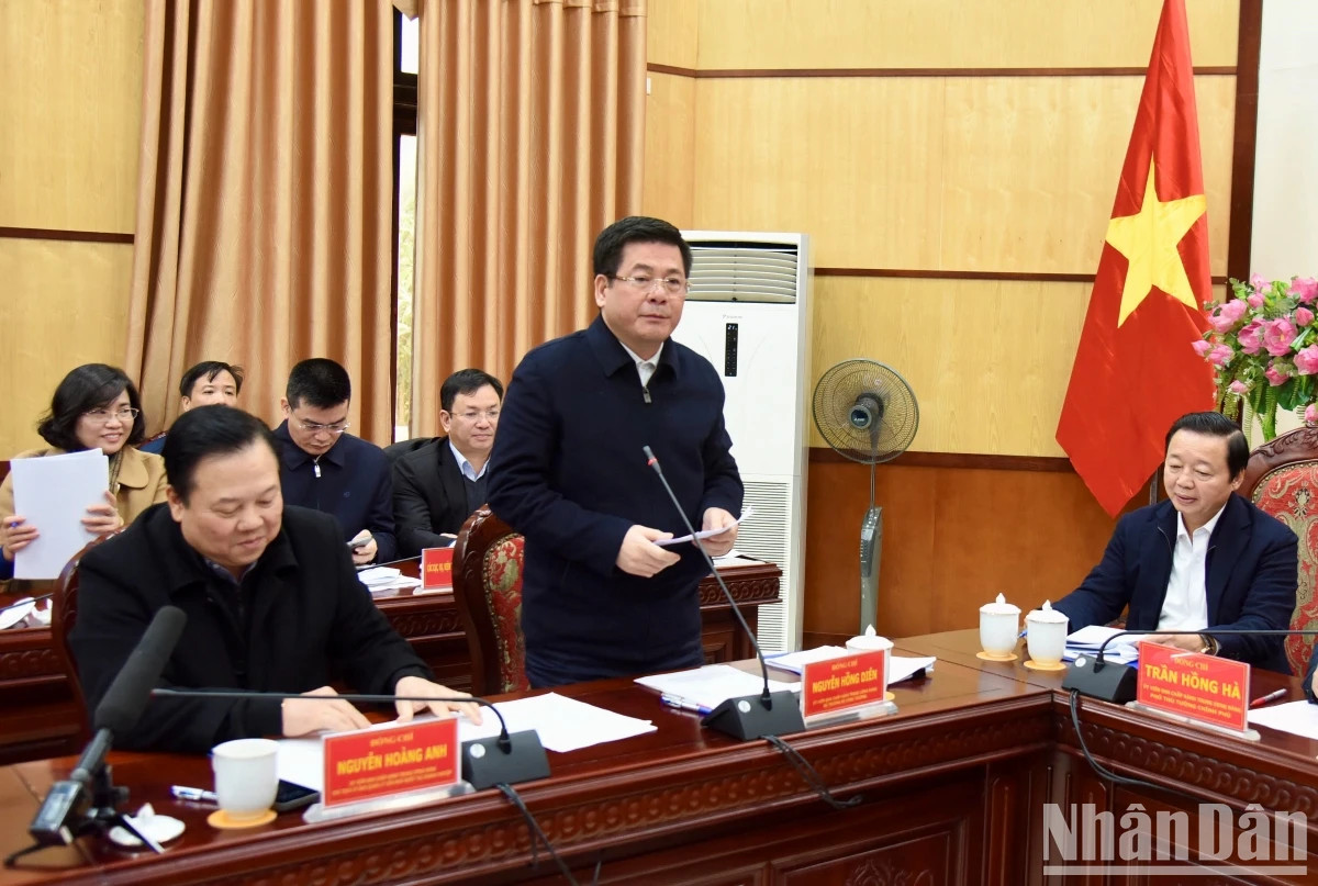 工贸部部长阮鸿延发表讲话。