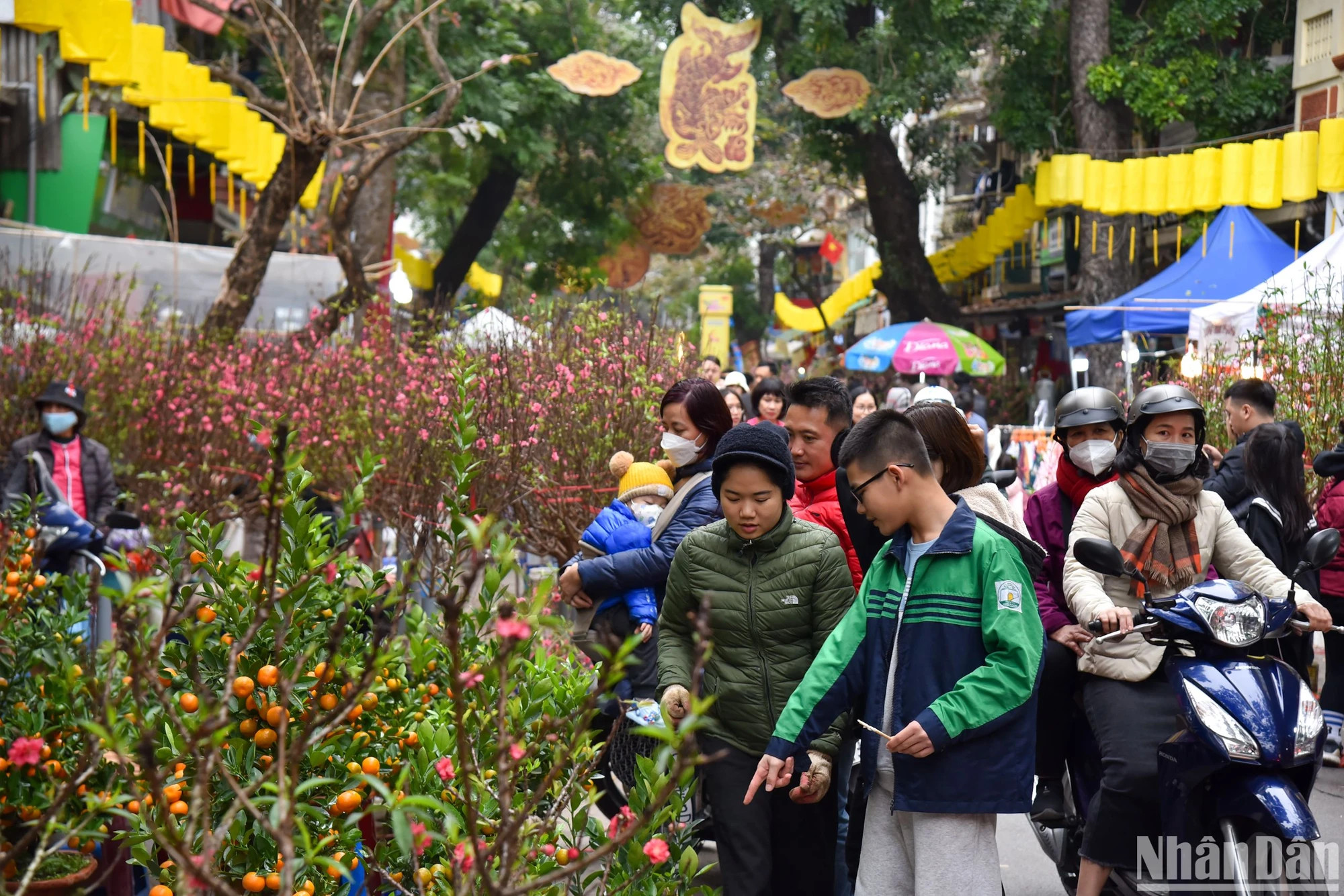 首都民众参观梳街传统花市。