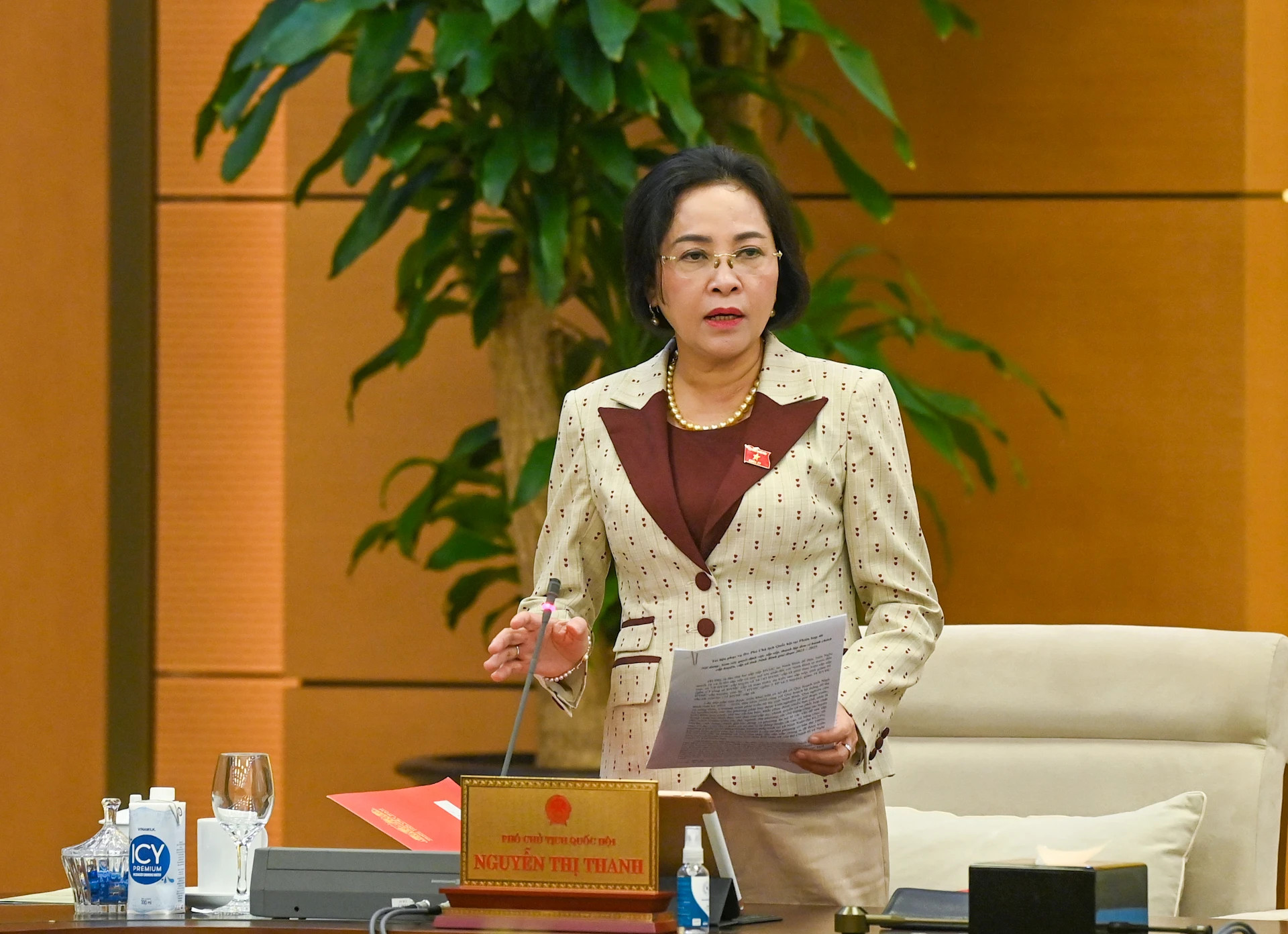 国会副主席阮氏青发表讲话。