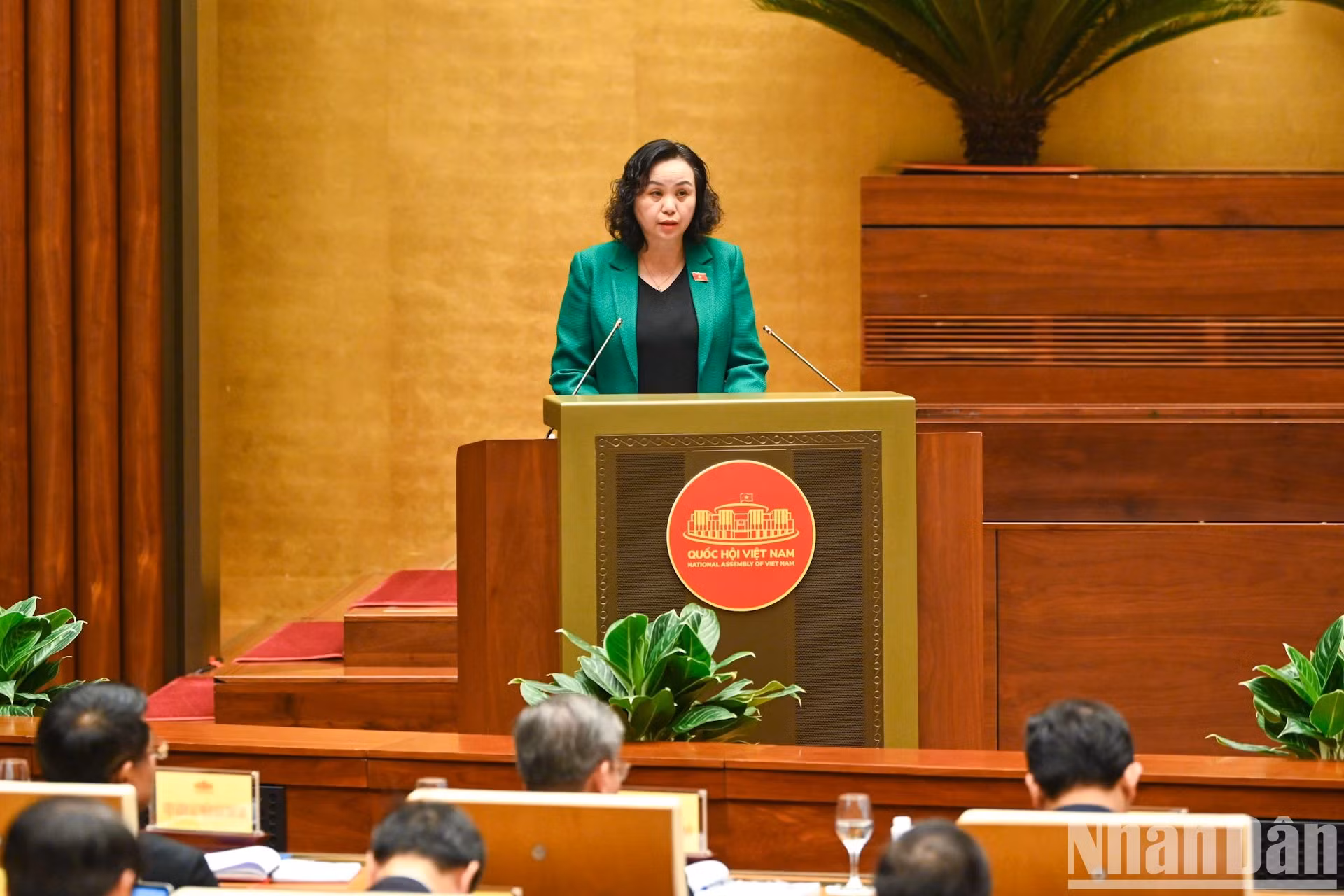 国会民族委员会副主任高氏春作2015年《国会和人民议会监督活动法》修改补充的准备情况的报告，并就配合制定提交国会的法律项目的工作提出了建议。