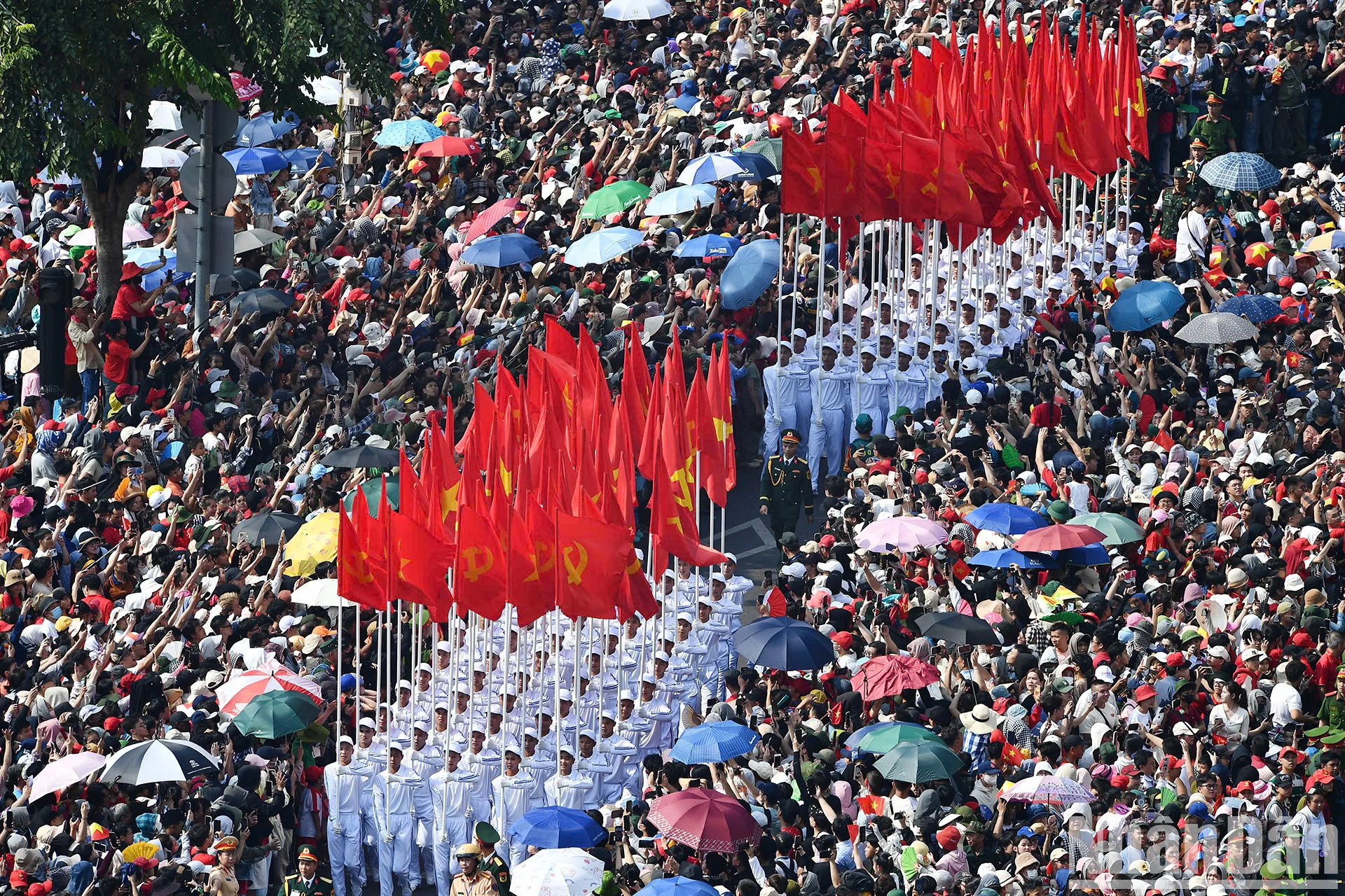 万众簇拥中，阅兵队伍威武前行【组图】