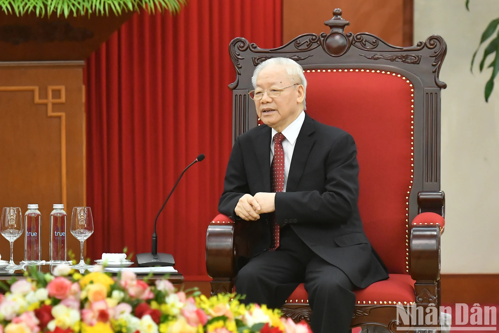 阮富仲总书记在会见中发表讲话。