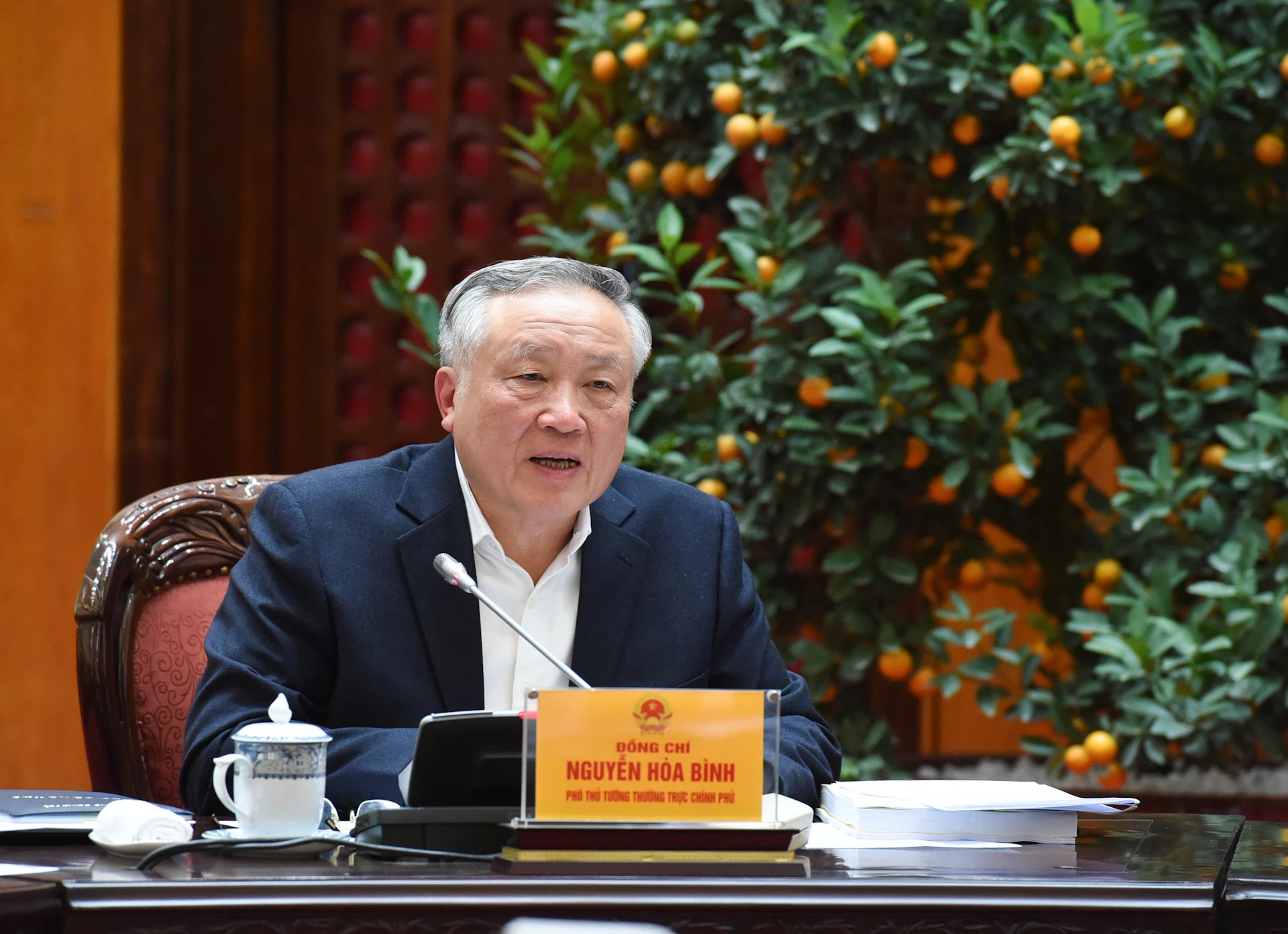 越南政府常务副总理阮和平发表讲话。