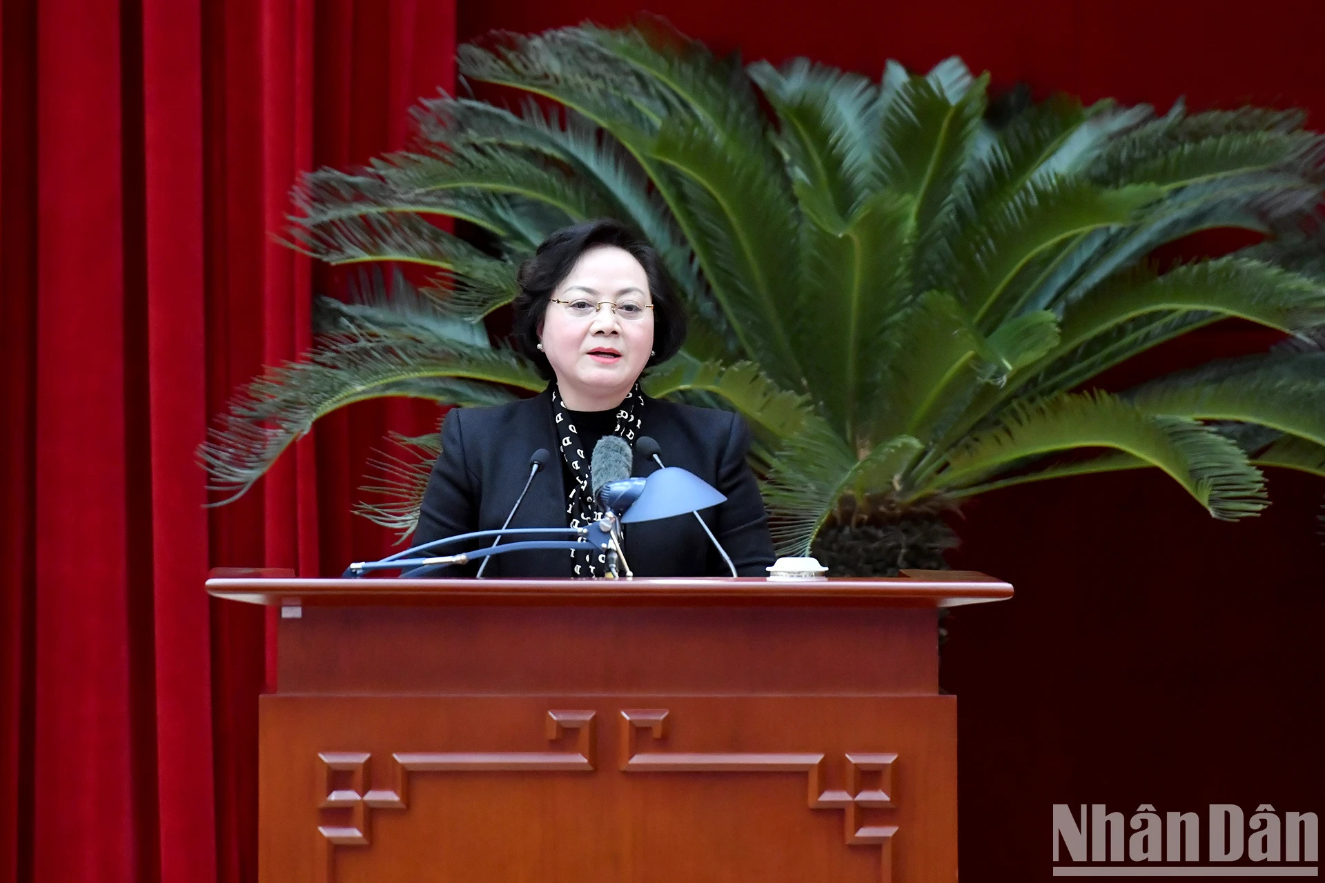 越共中央委员、内务部部长范氏青茶作报告。