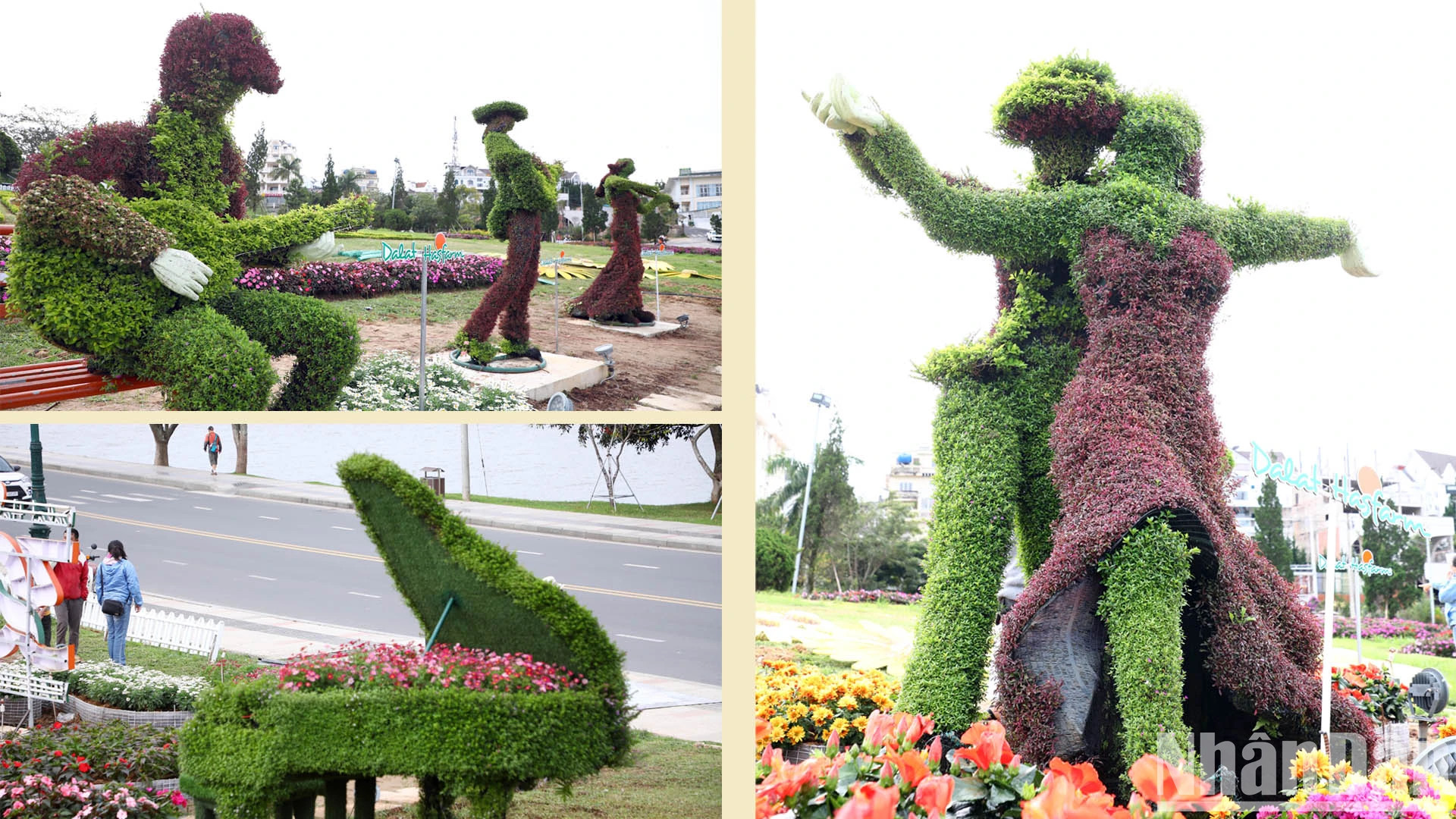 与往年的大叻节有所不同,今年大叻花卉节延长1个月,各主要活动将集中娱乐活动,缩短各礼仪举办的时间。 与往年的大叻节有所不同,今年大叻花卉节延长1个月,各主要活动将集中娱乐活动,缩短各礼仪举办的时间。