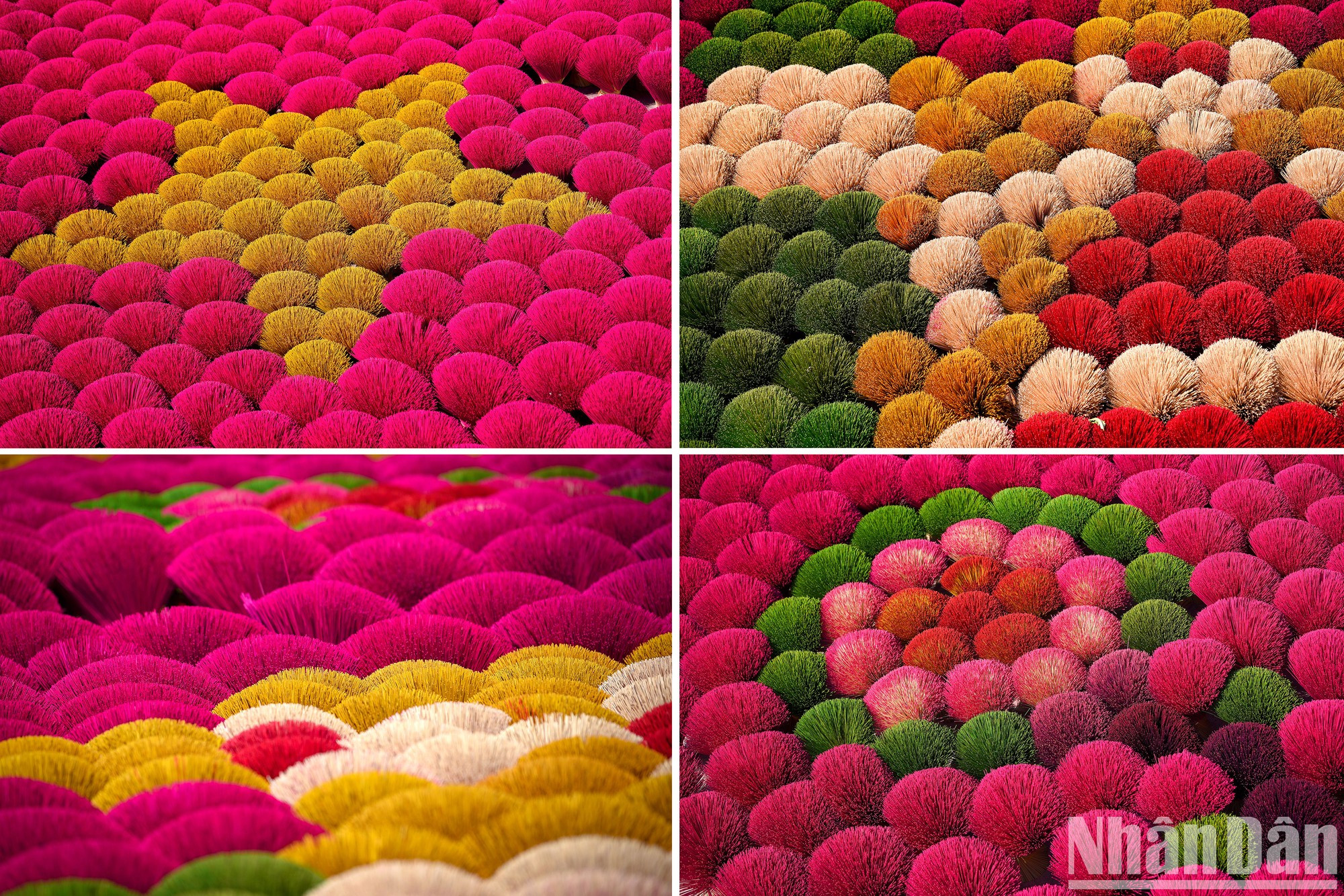 来到这里，游客将对太阳照射下犹如花朵那样鲜艳的香棒留下深刻印象。