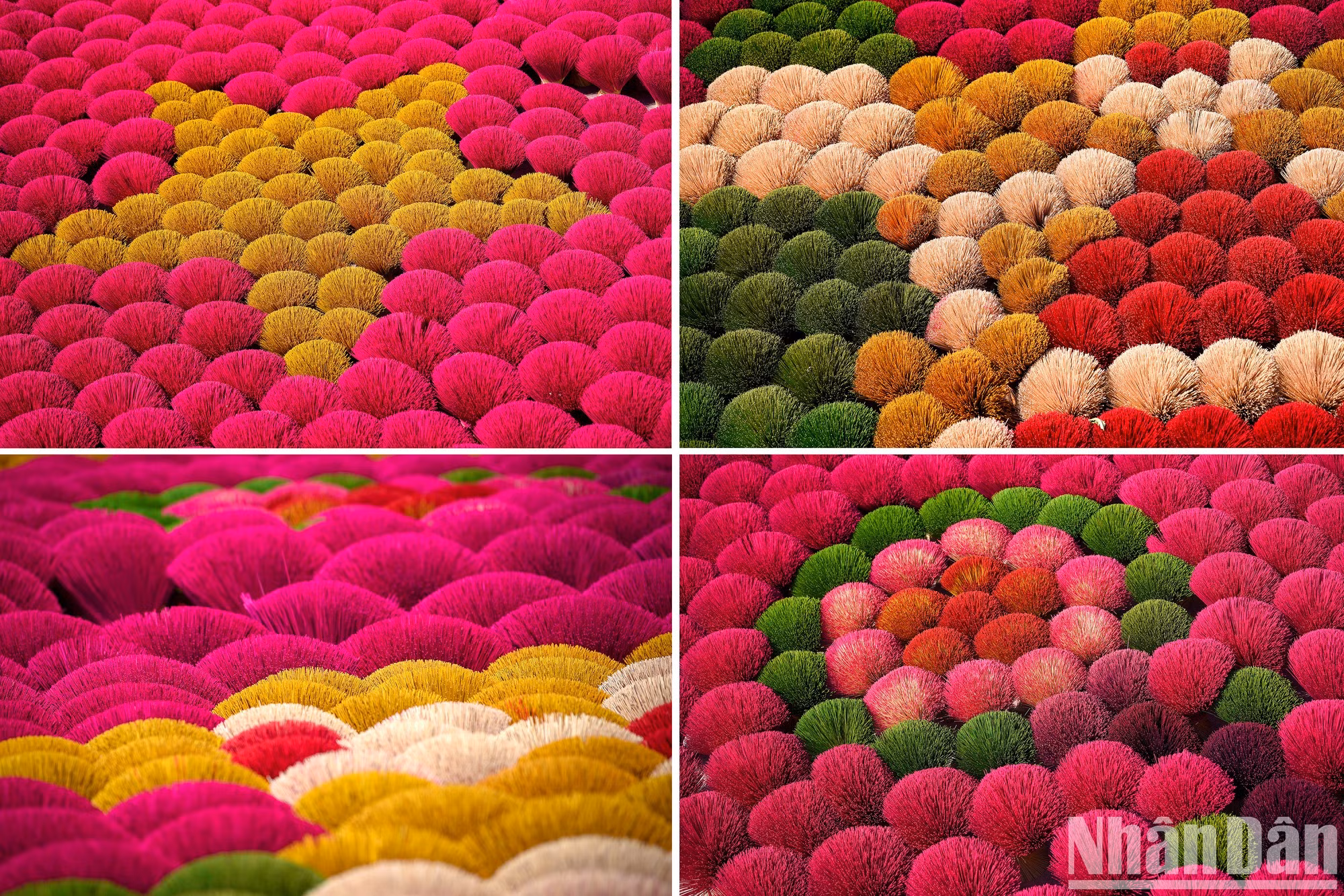 来到这里,游客将对太阳照射下犹如花朵那样鲜艳的香棒留下深刻印象。 来到这里,游客将对太阳照射下犹如花朵那样鲜艳的香棒留下深刻印象。