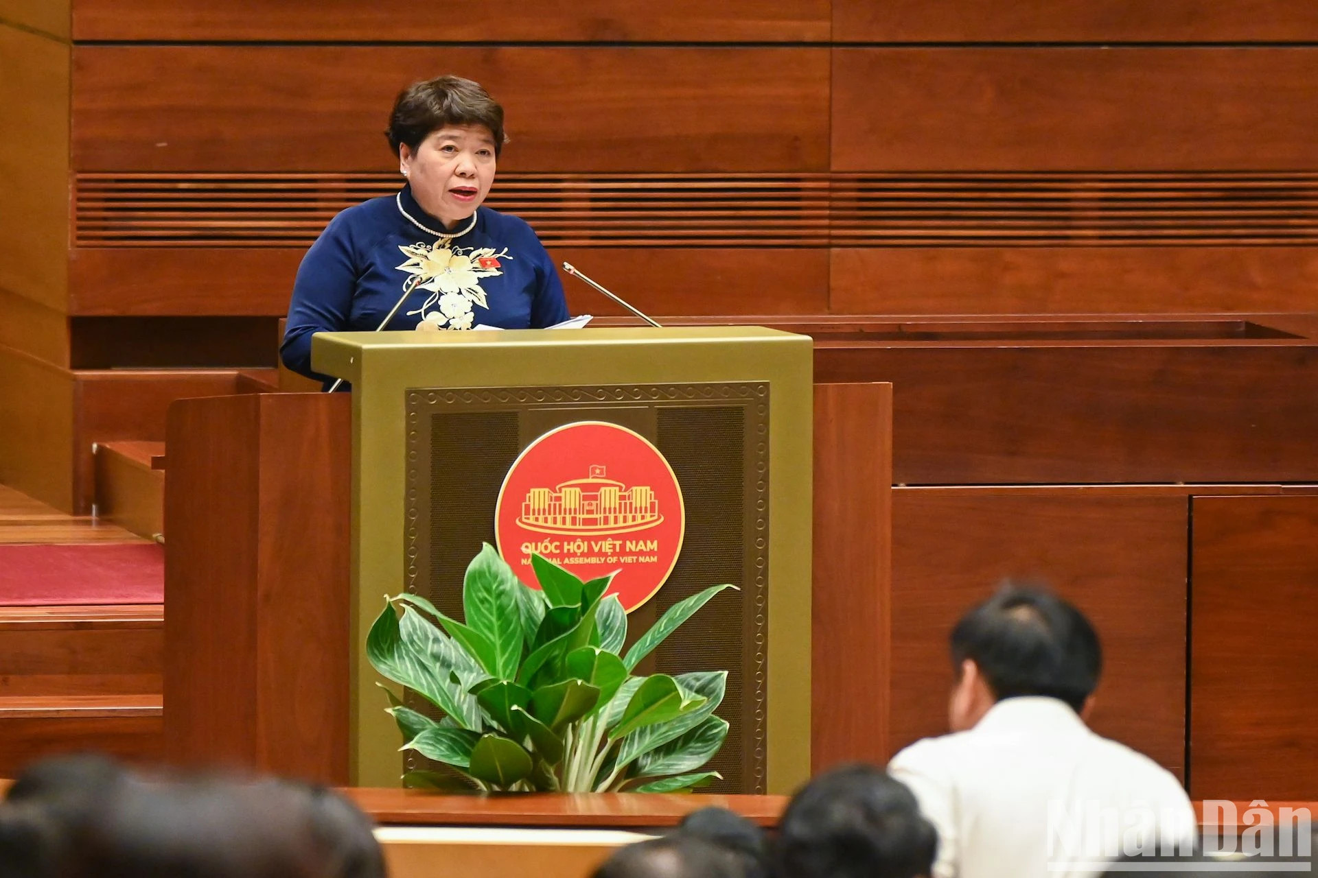 国会社会委员会主任阮翠英作报告。 国会社会委员会主任阮翠英作报告。