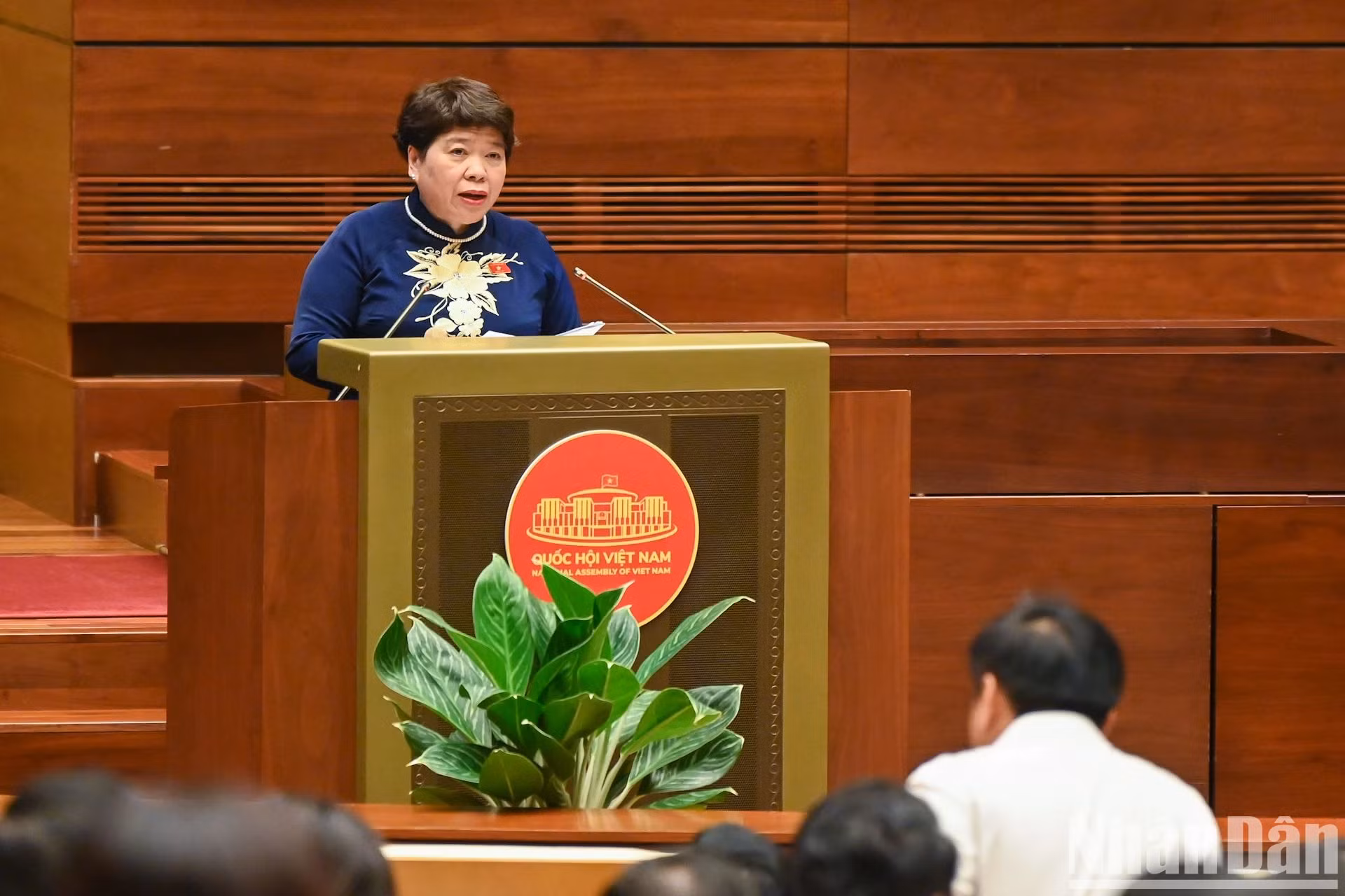 国会社会委员会主任阮翠英作报告。 国会社会委员会主任阮翠英作报告。