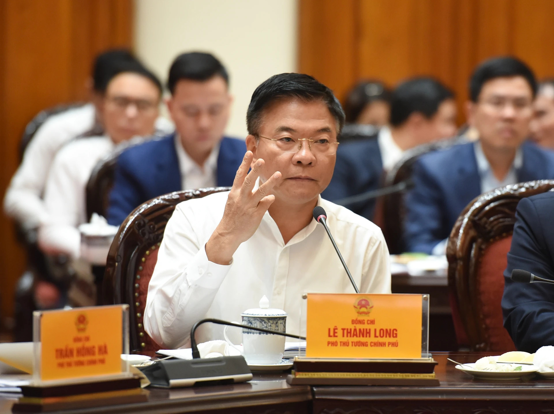 黎成龙副总理发表讲话。