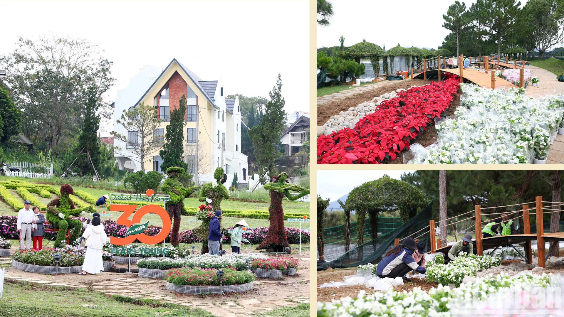 本届大叻花卉节的主题为“大叻花卉—色彩纷呈的交响曲”,继续肯定了大叻市是越南花卉节之城、联合国教科文组织音乐领域创意城市的地位。 本届大叻花卉节的主题为“大叻花卉—色彩纷呈的交响曲”,继续肯定了大叻市是越南花卉节之城、联合国教科文组织音乐领域创意城市的地位。