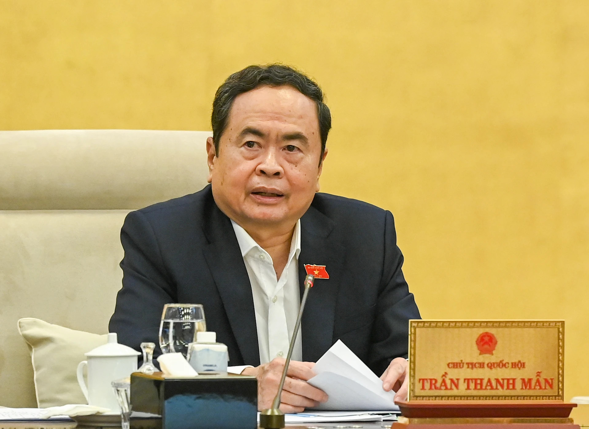 国会主席陈青敏在会议上发表讲话。