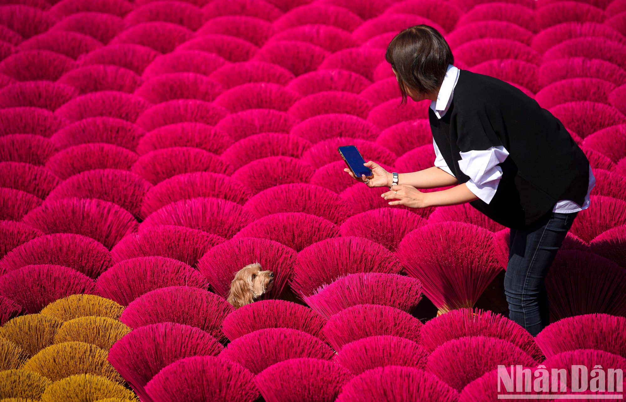 近年来，这里成为许多游客的“打卡”目的地。