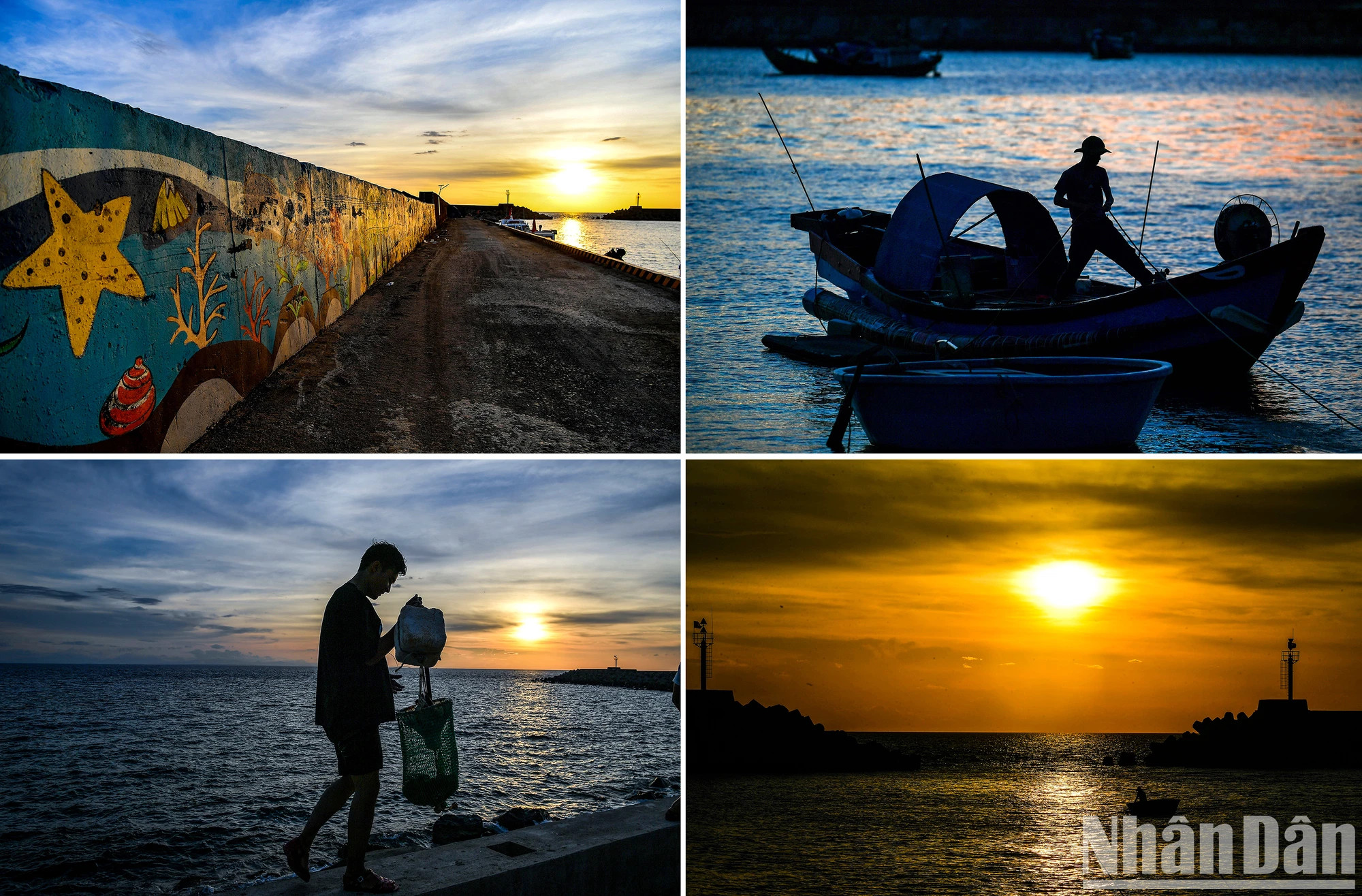 今天的草洲岛。