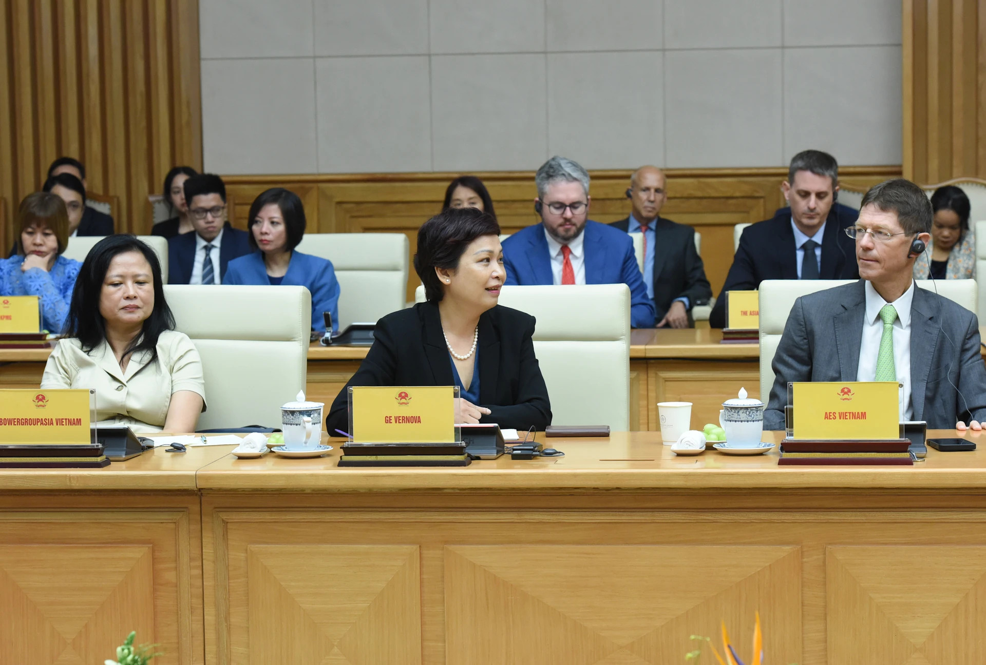 在越南美国企业代表。