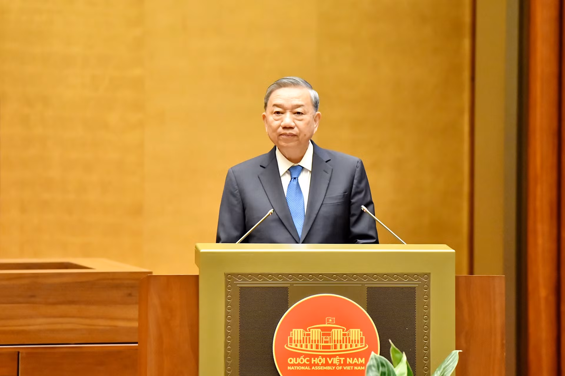 苏林总书记致辞。