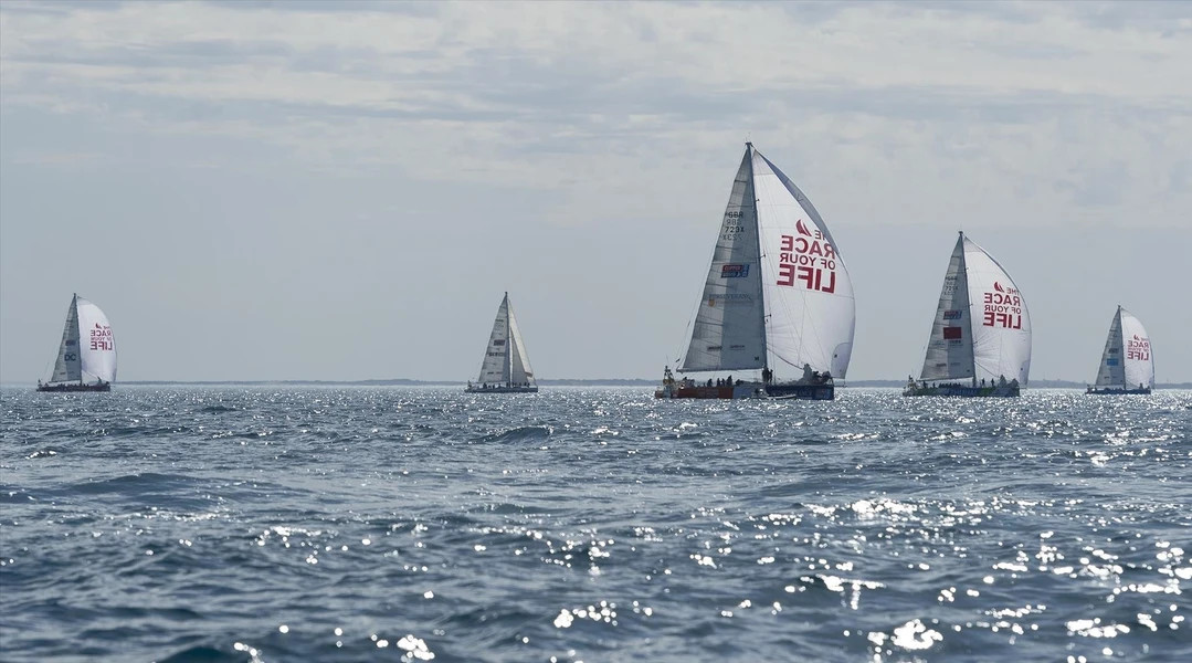 克利伯环球帆船赛（Clipper Race）第五赛段航程于2024年2月在广宁省下龙湾举行。