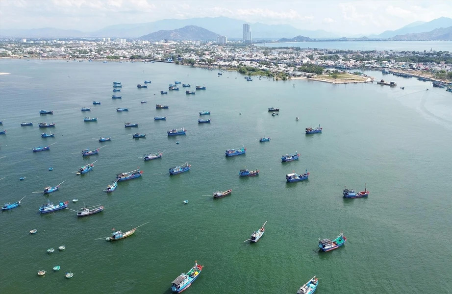 越南宁顺省的海洋经济发展潜力巨大。 该省力争到2025 年海洋经济生产总值占全省地区生产总值的41-42%。