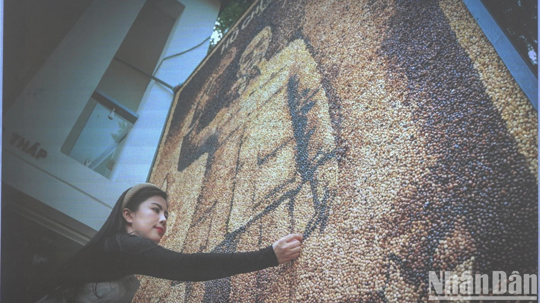 由画家黎木莺创作的胡志明主席肖像画，采用莲子为材质，尺寸4.8 米×2.4 米，由100公斤手工烘炒的莲子精心拼接而成。