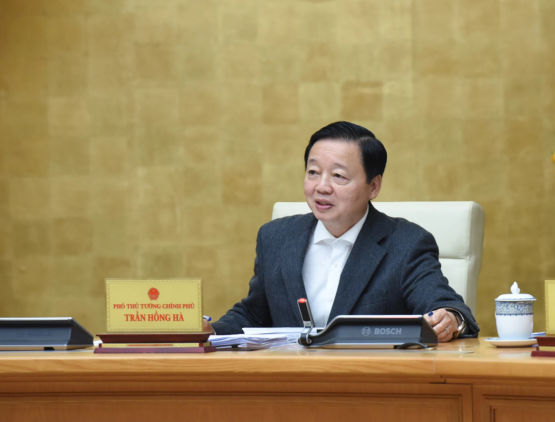 越南政府副总理陈红河在会上发表讲话。