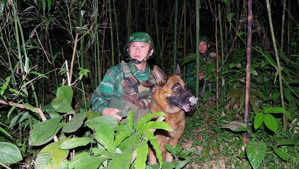 春节期间,南根国际边境口岸组织加大昼夜巡逻力度,严格管控进出边境地区和边区的人员和车辆,及时发现侵犯主权和边境安全的行为。 春节期间,南根国际边境口岸组织加大昼夜巡逻力度,严格管控进出边境地区和边区的人员和车辆,及时发现侵犯主权和边境安全的行为。
