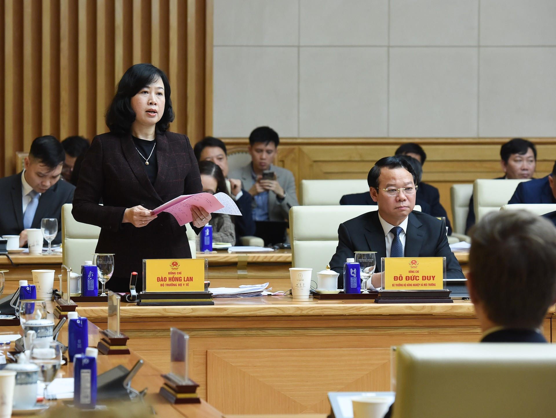 越南卫生部部长陶红兰在会上发表讲话。