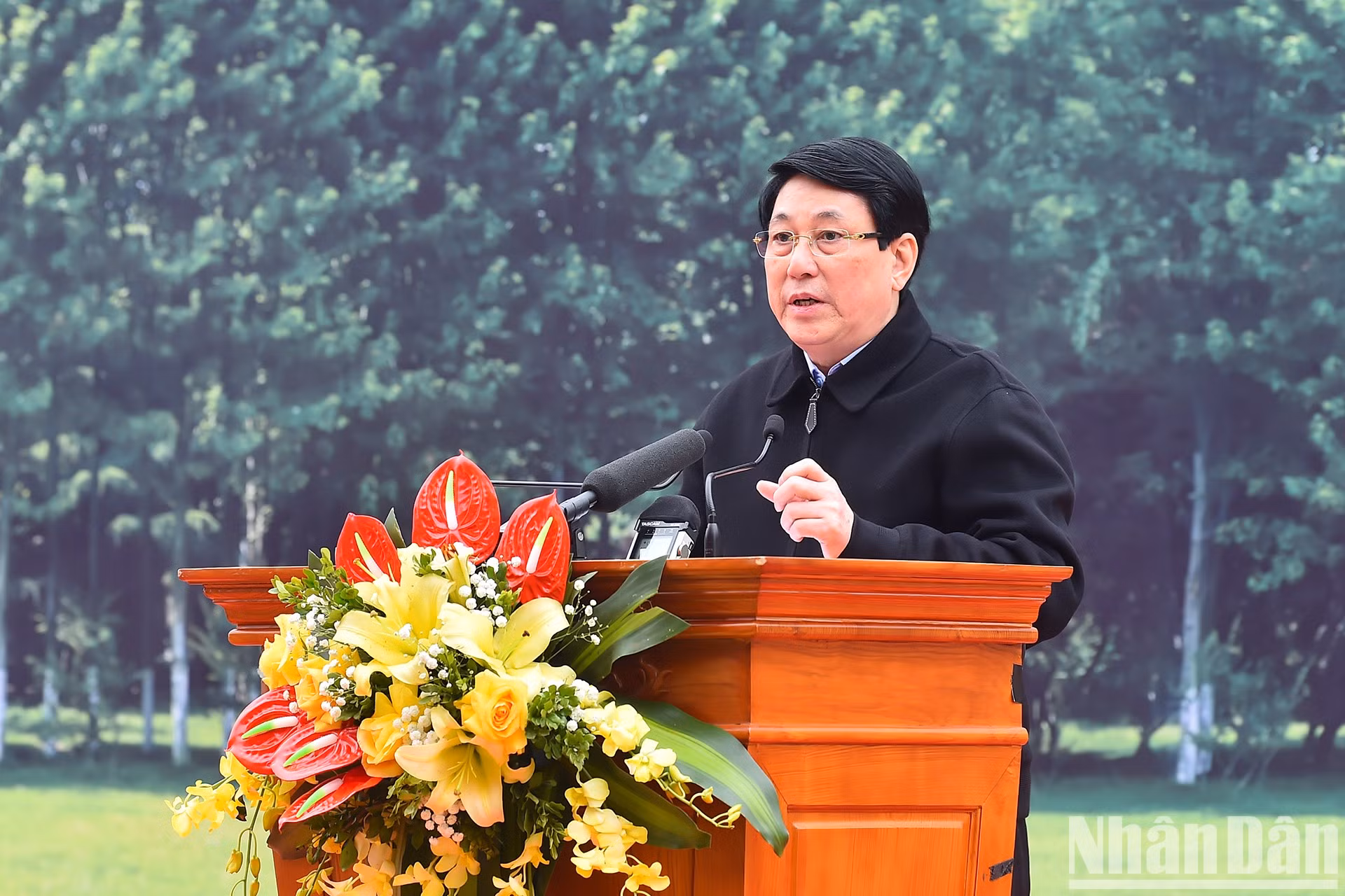 越南国家主席梁强在仪式上发表讲话。