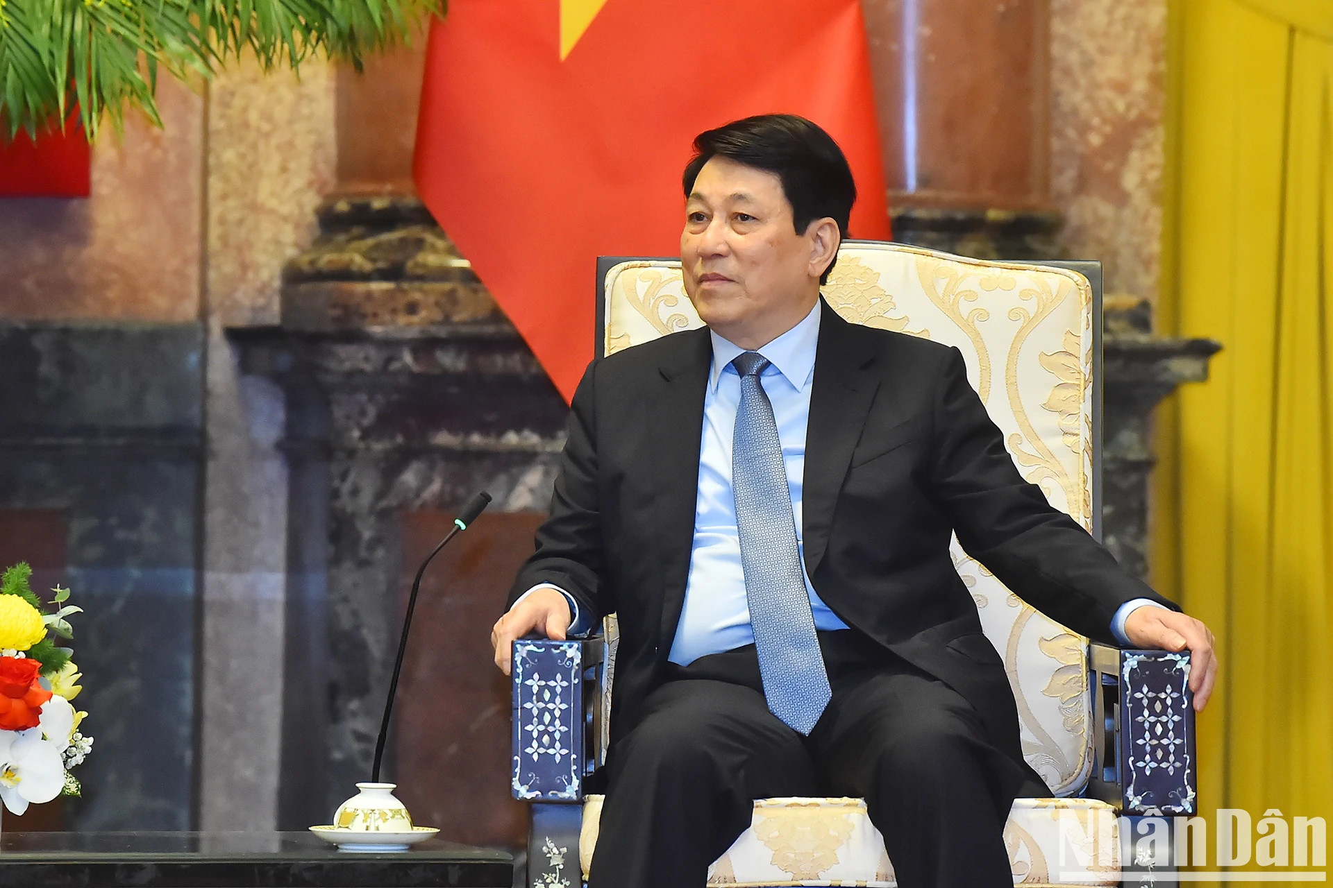 越南国家主席梁强在会见中发表讲话。