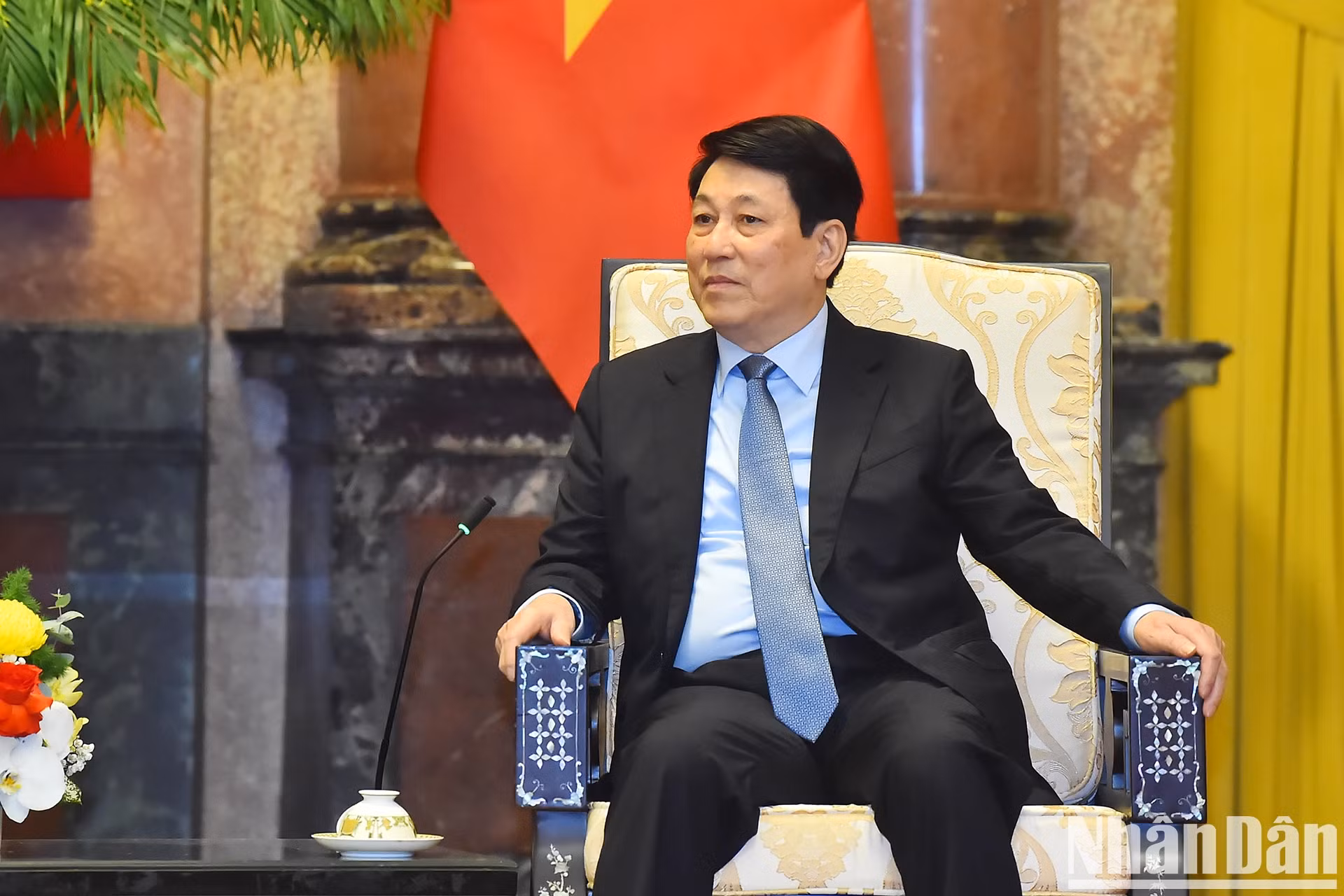 越南国家主席梁强在会见中发表讲话。