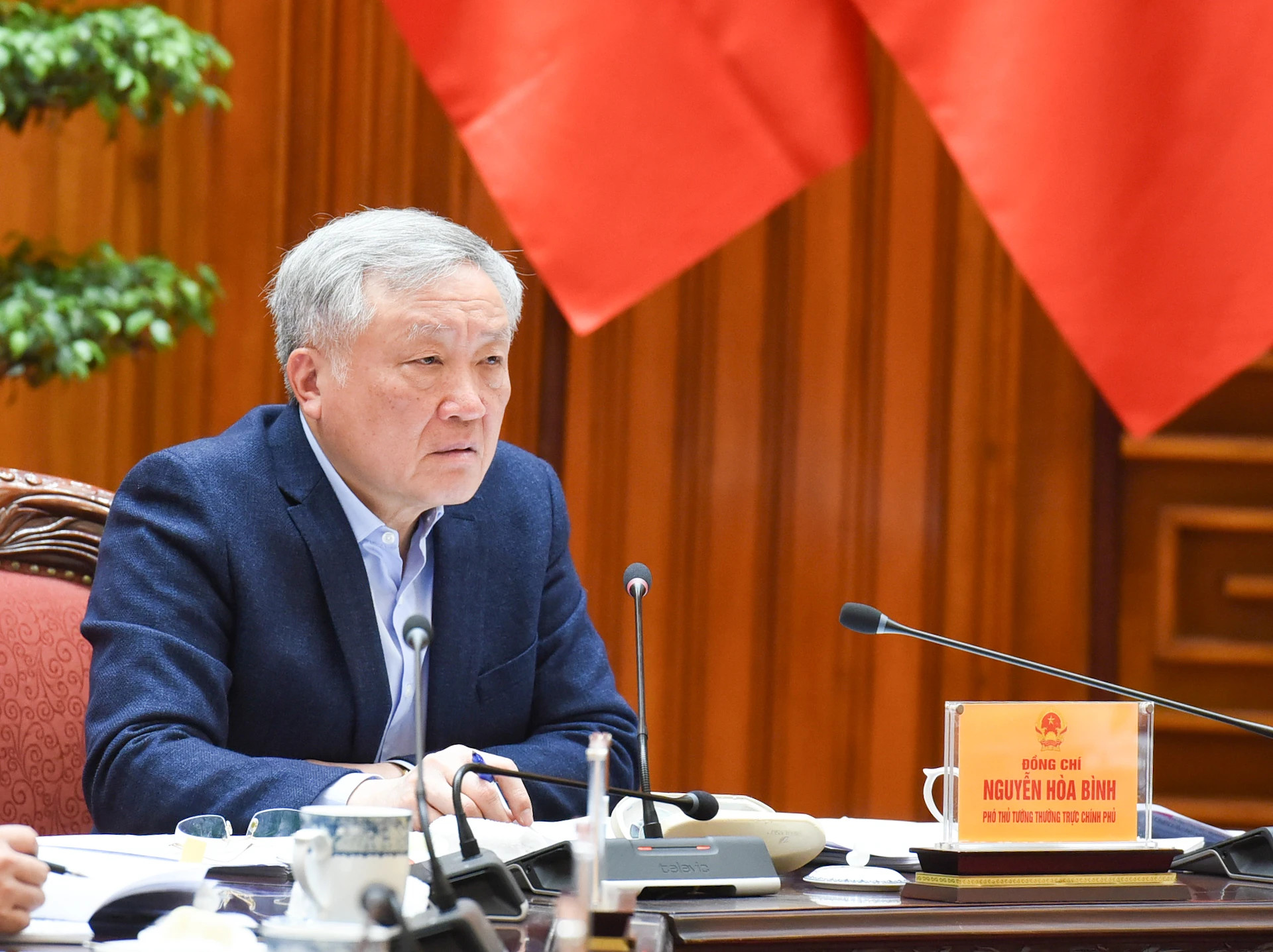 政府常务副总理、项目困难排查化解指导委员会主任阮和平在会上致辞。